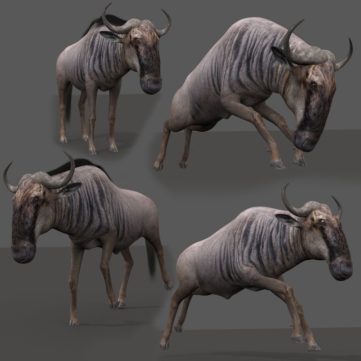 Colossal Animal Pack - Low-Poly Game-Ready 3D Model - View 66