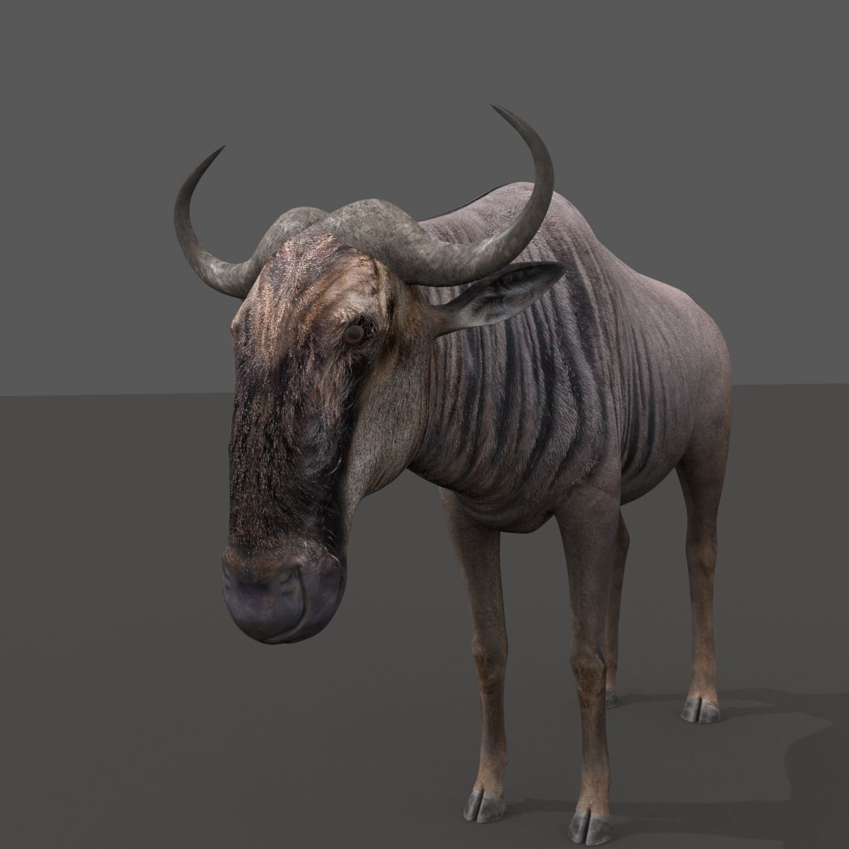 Colossal Animal Pack - Low-Poly Game-Ready 3D Model - View 67