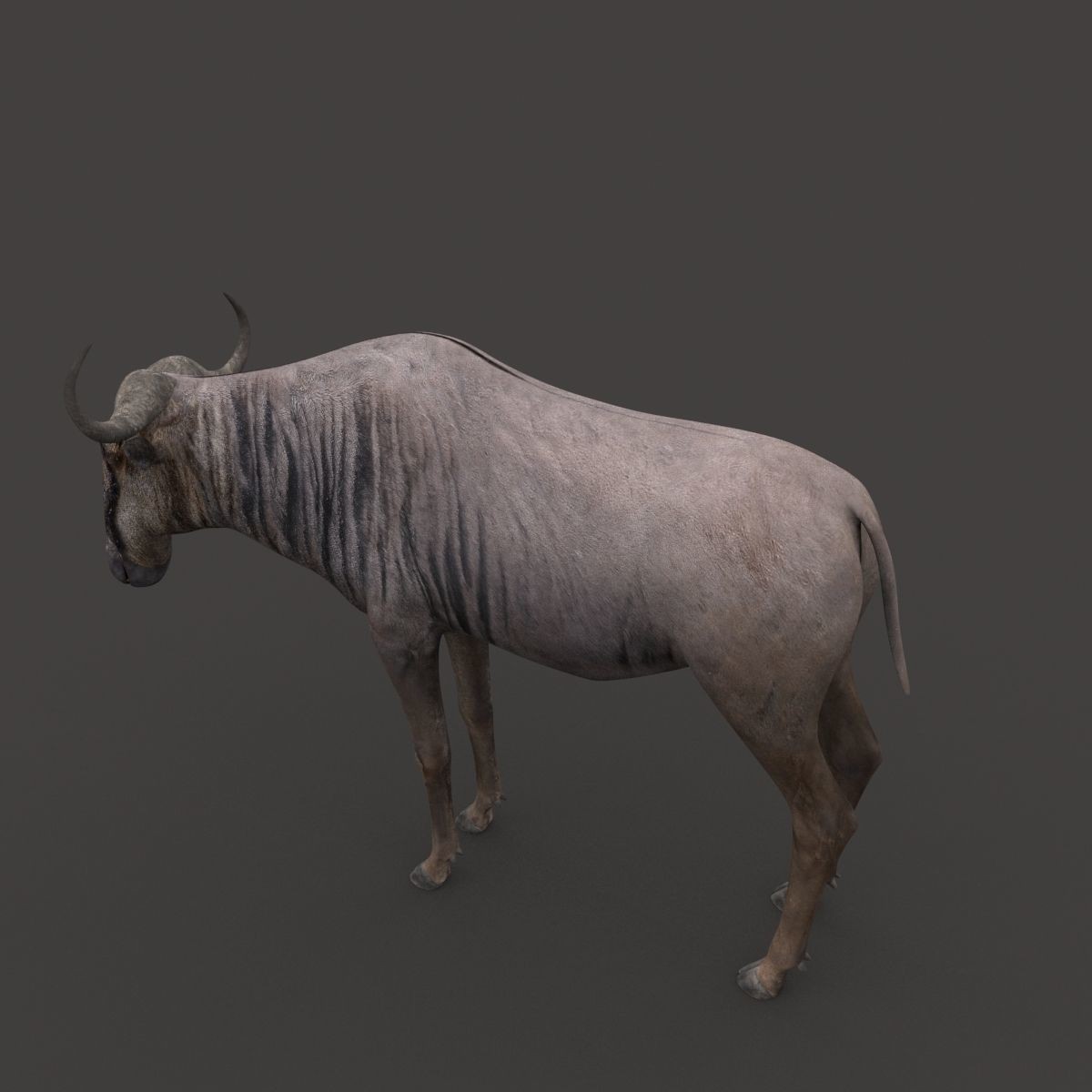 Colossal Animal Pack - Low-Poly Game-Ready 3D Model - View 68