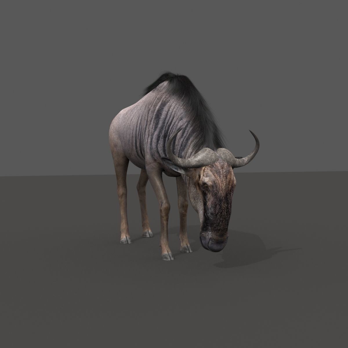 Colossal Animal Pack - Low-Poly Game-Ready 3D Model - View 69