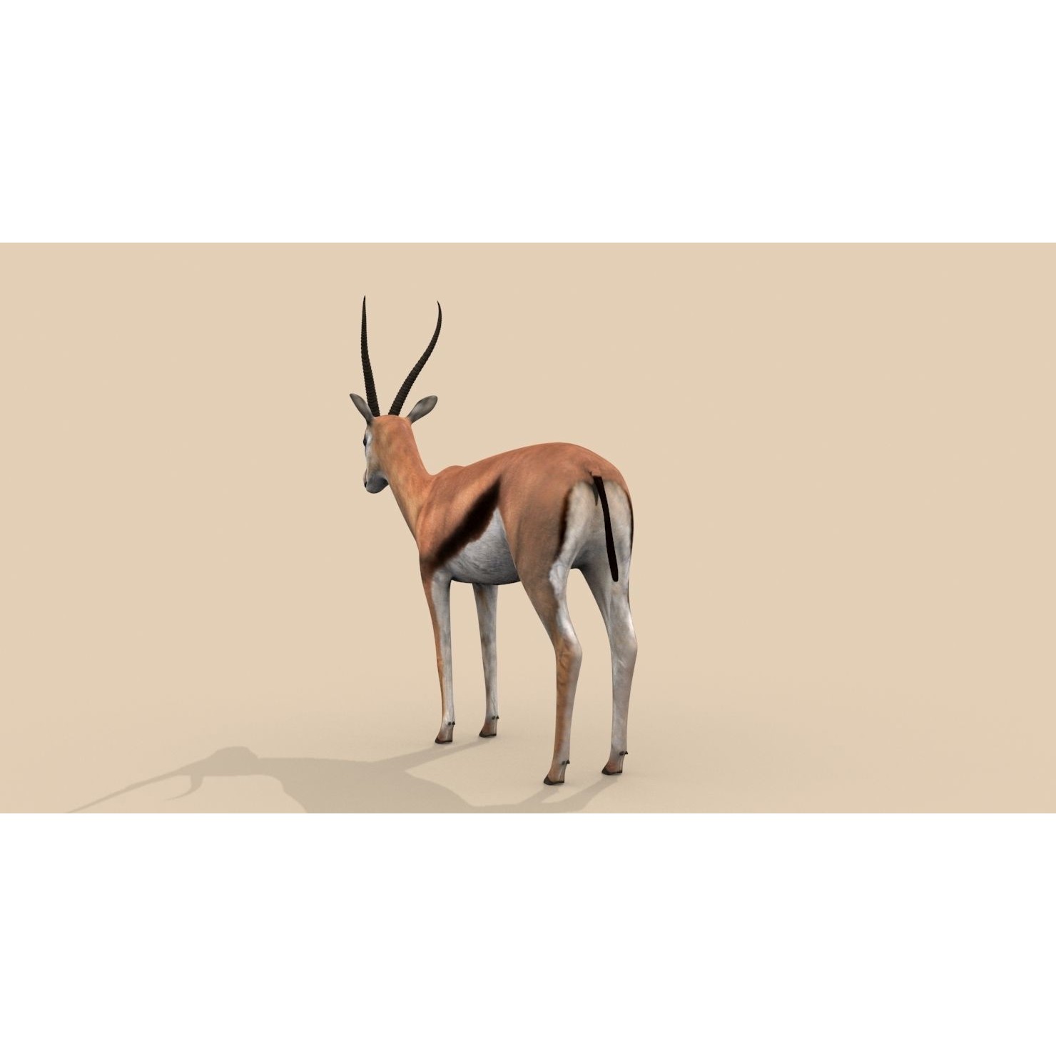 Colossal Animal Pack - Low-Poly Game-Ready 3D Model - View 76
