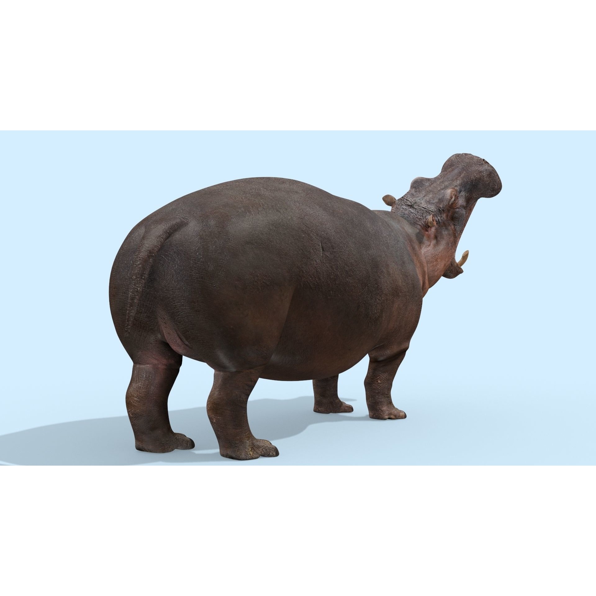 Colossal Animal Pack - Low-Poly Game-Ready 3D Model - View 8