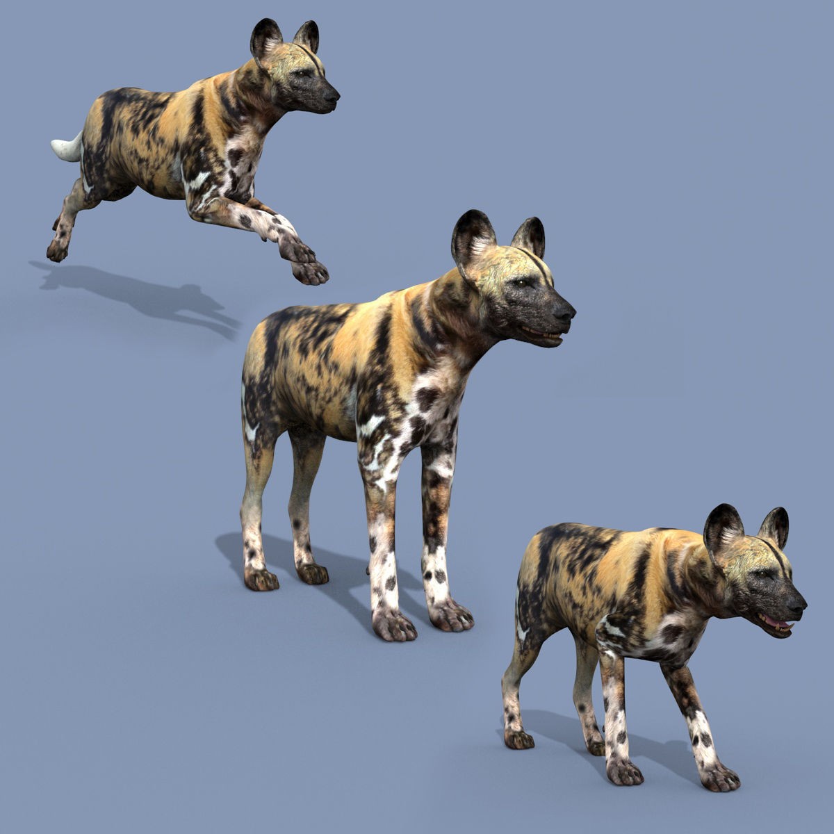 Colossal Animal Pack - Low-Poly Game-Ready 3D Model - View 86