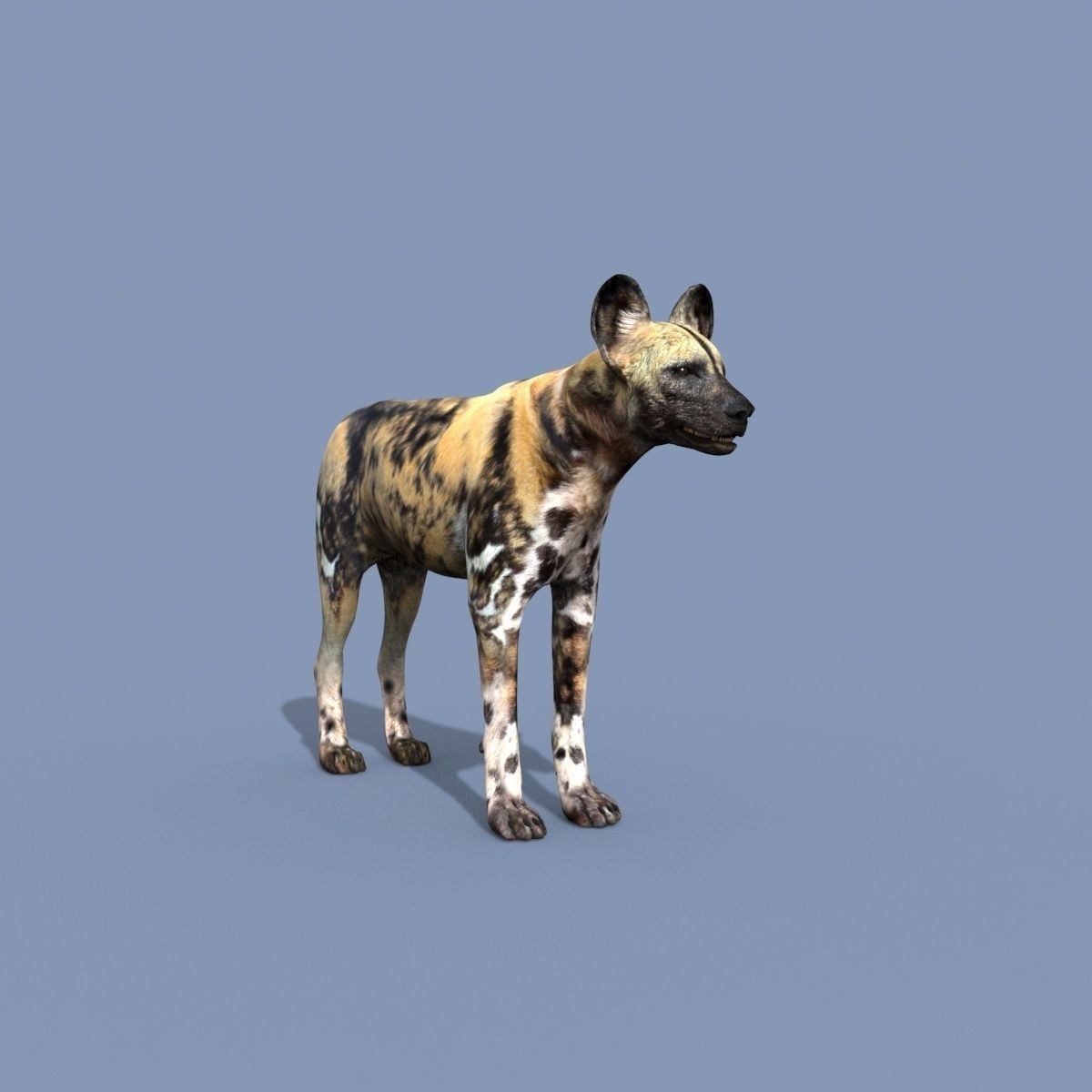 Colossal Animal Pack - Low-Poly Game-Ready 3D Model - View 87