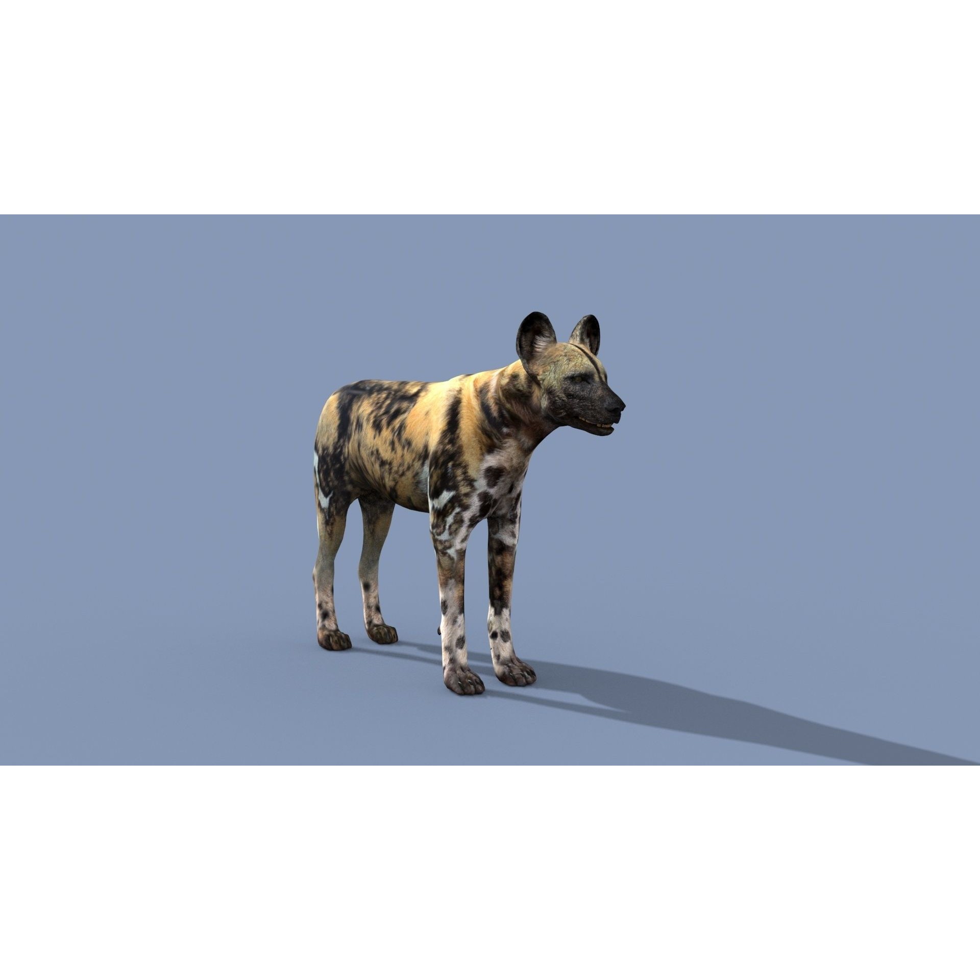 Colossal Animal Pack - Low-Poly Game-Ready 3D Model - View 88