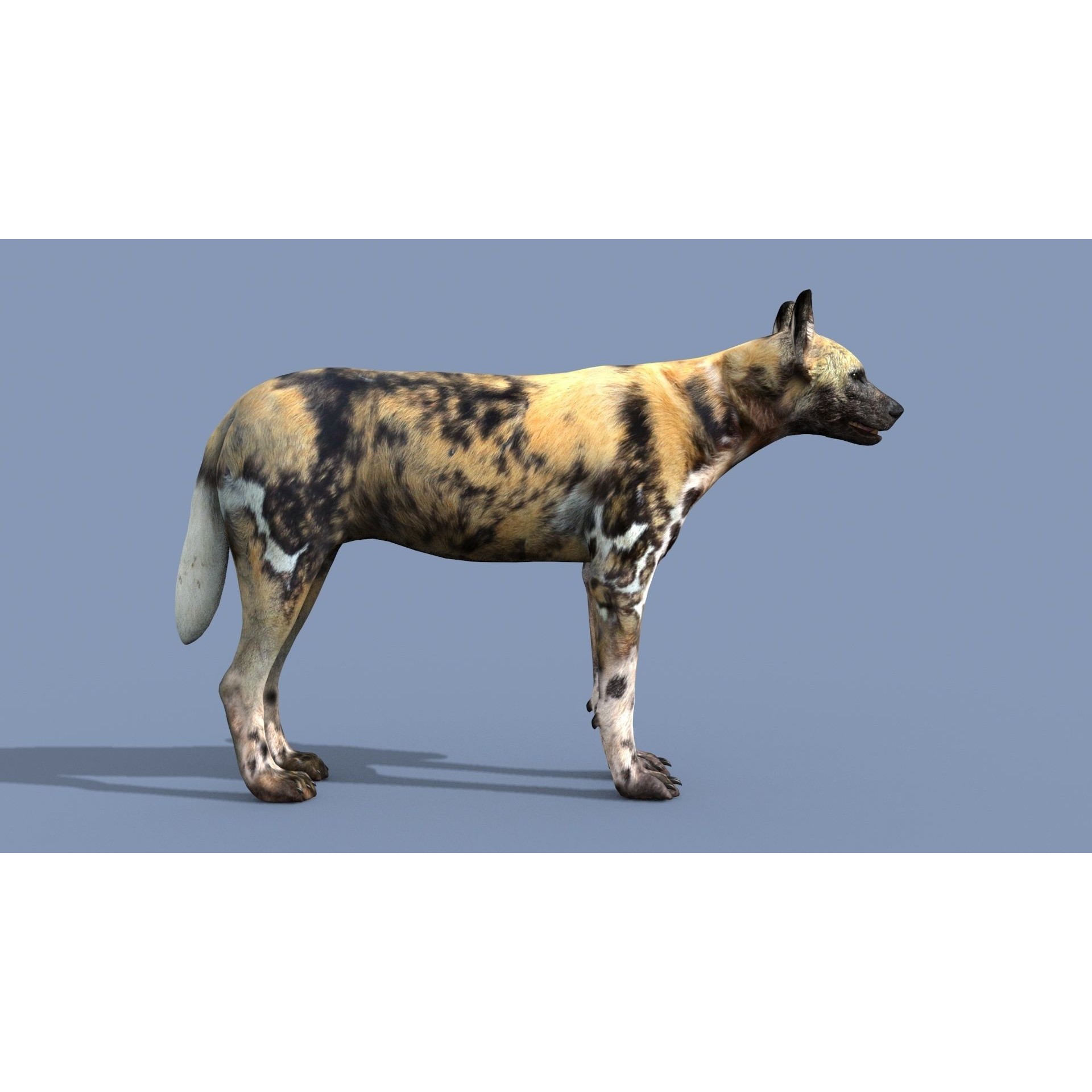 Colossal Animal Pack - Low-Poly Game-Ready 3D Model - View 89