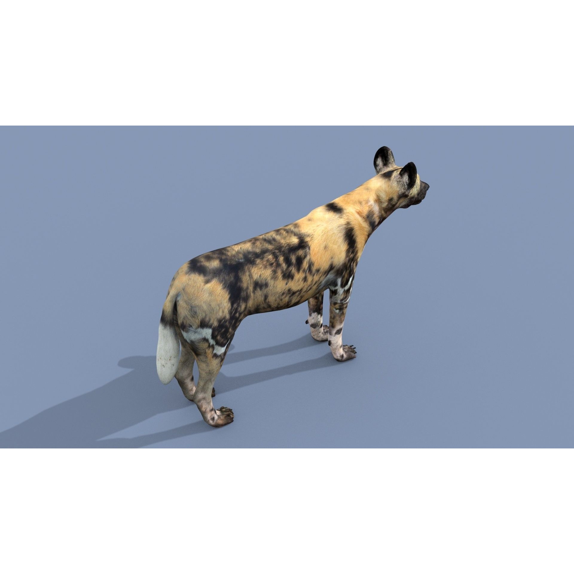 Colossal Animal Pack - Low-Poly Game-Ready 3D Model - View 90