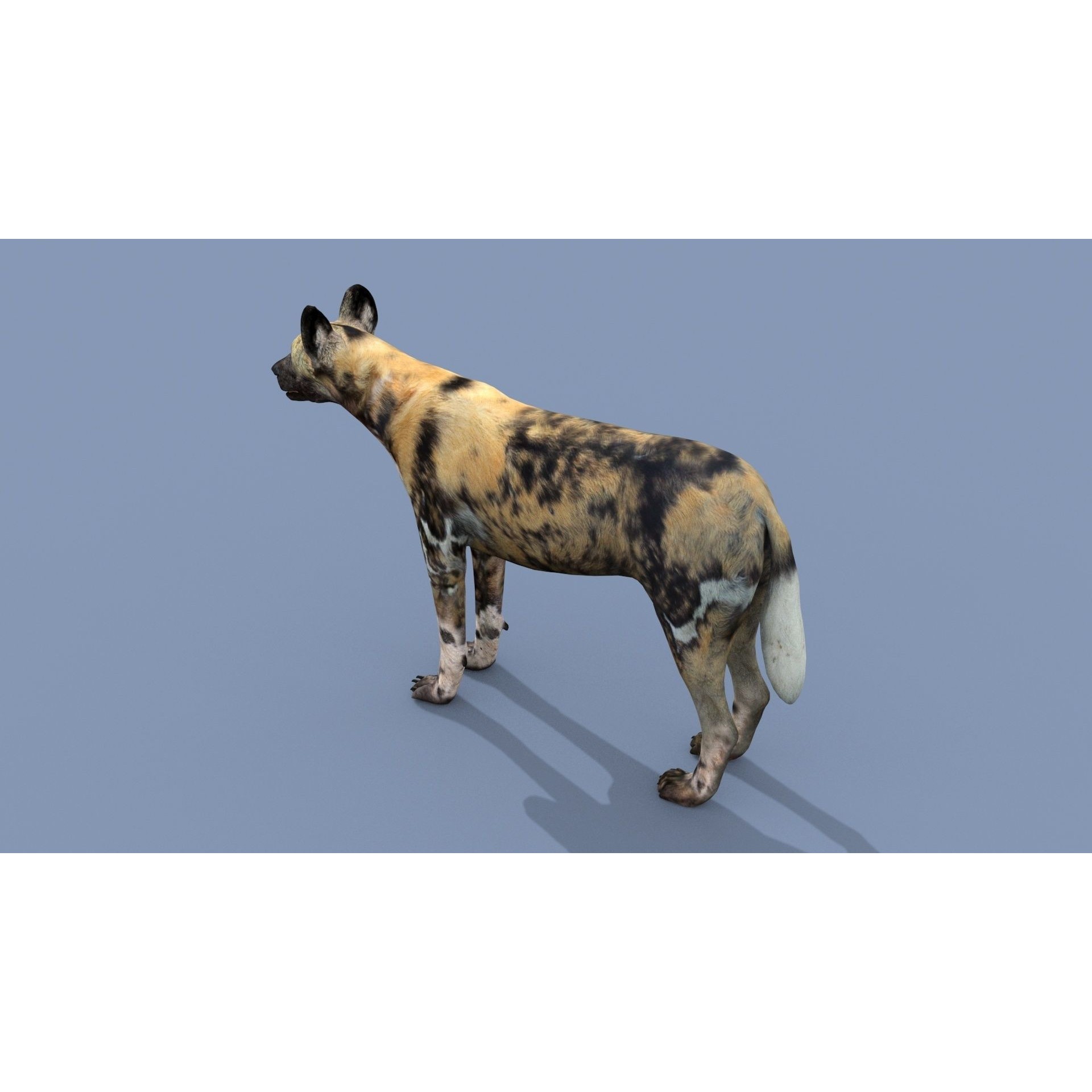 Colossal Animal Pack - Low-Poly Game-Ready 3D Model - View 91