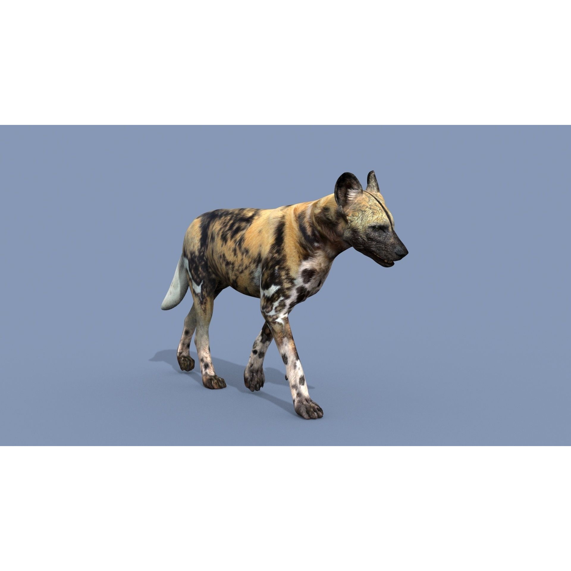 Colossal Animal Pack - Low-Poly Game-Ready 3D Model - View 92