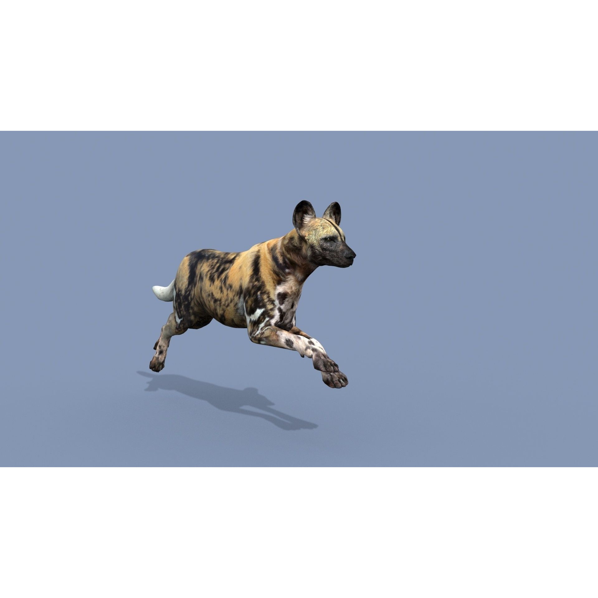 Colossal Animal Pack - Low-Poly Game-Ready 3D Model - View 93