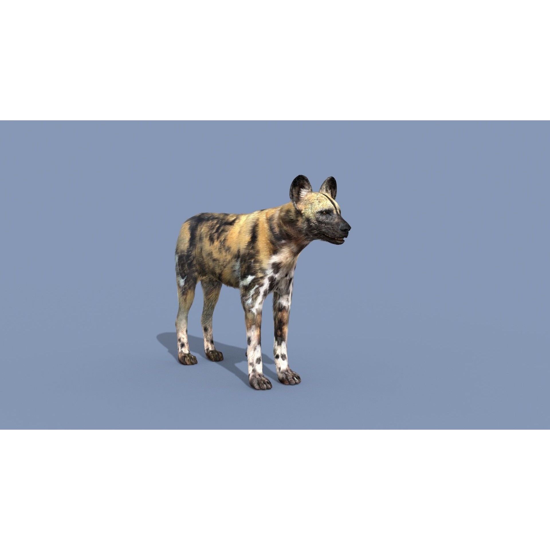Colossal Animal Pack - Low-Poly Game-Ready 3D Model - View 96