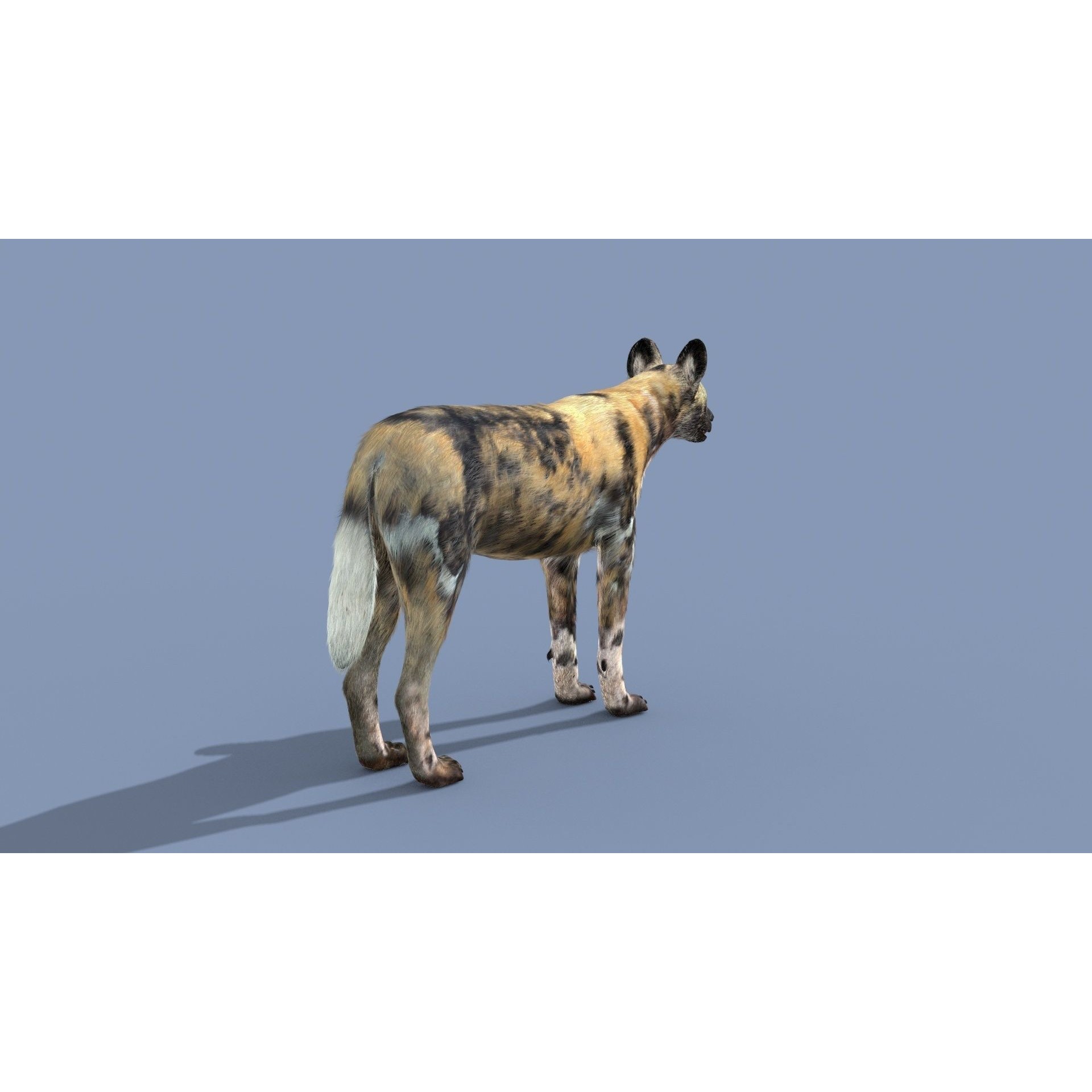 Colossal Animal Pack - Low-Poly Game-Ready 3D Model - View 97
