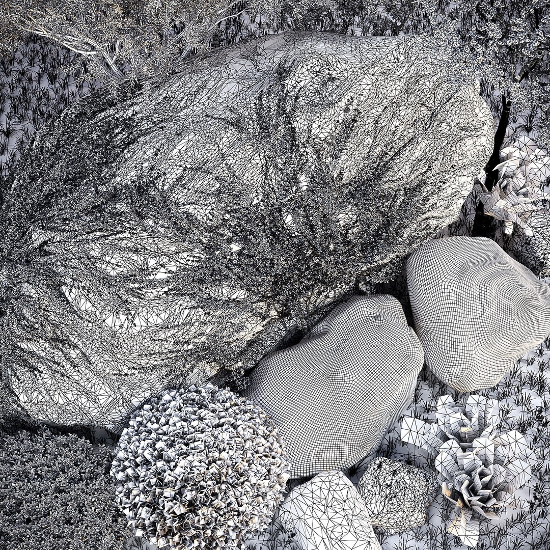 Rocks and Plants 3D Model – PBR Landscape Asset for Rendering - View 10