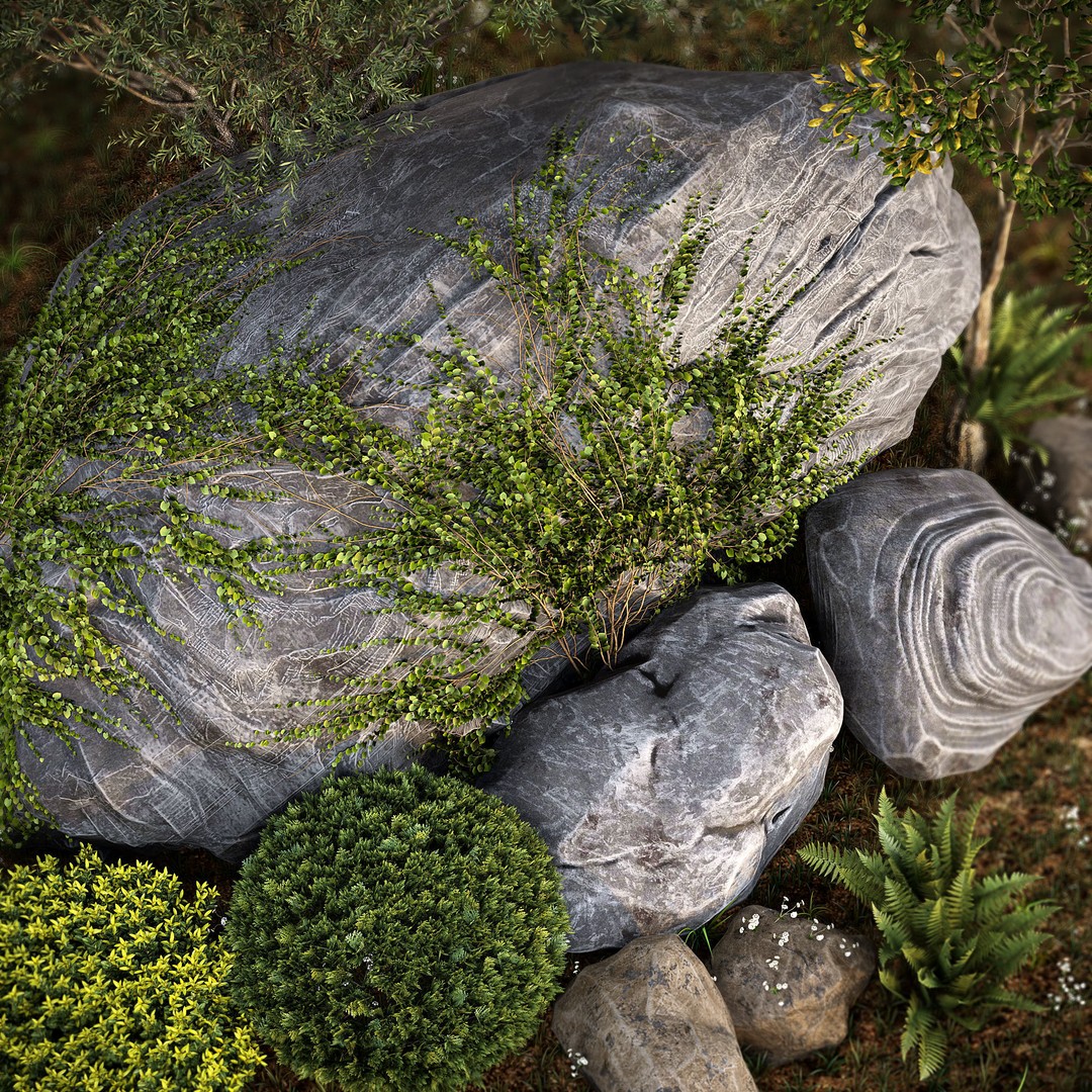 Rocks and Plants 3D Model – PBR Landscape Asset for Rendering - View 4