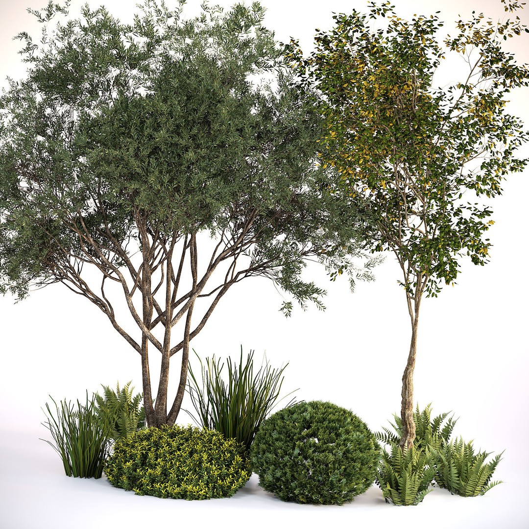 Rocks and Plants 3D Model – PBR Landscape Asset for Rendering - View 6
