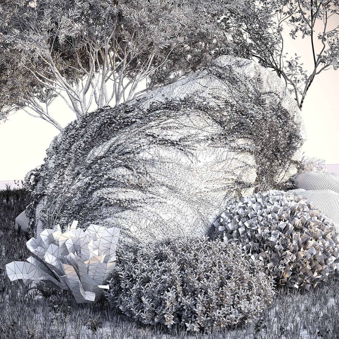 Rocks and Plants 3D Model – PBR Landscape Asset for Rendering - View 7