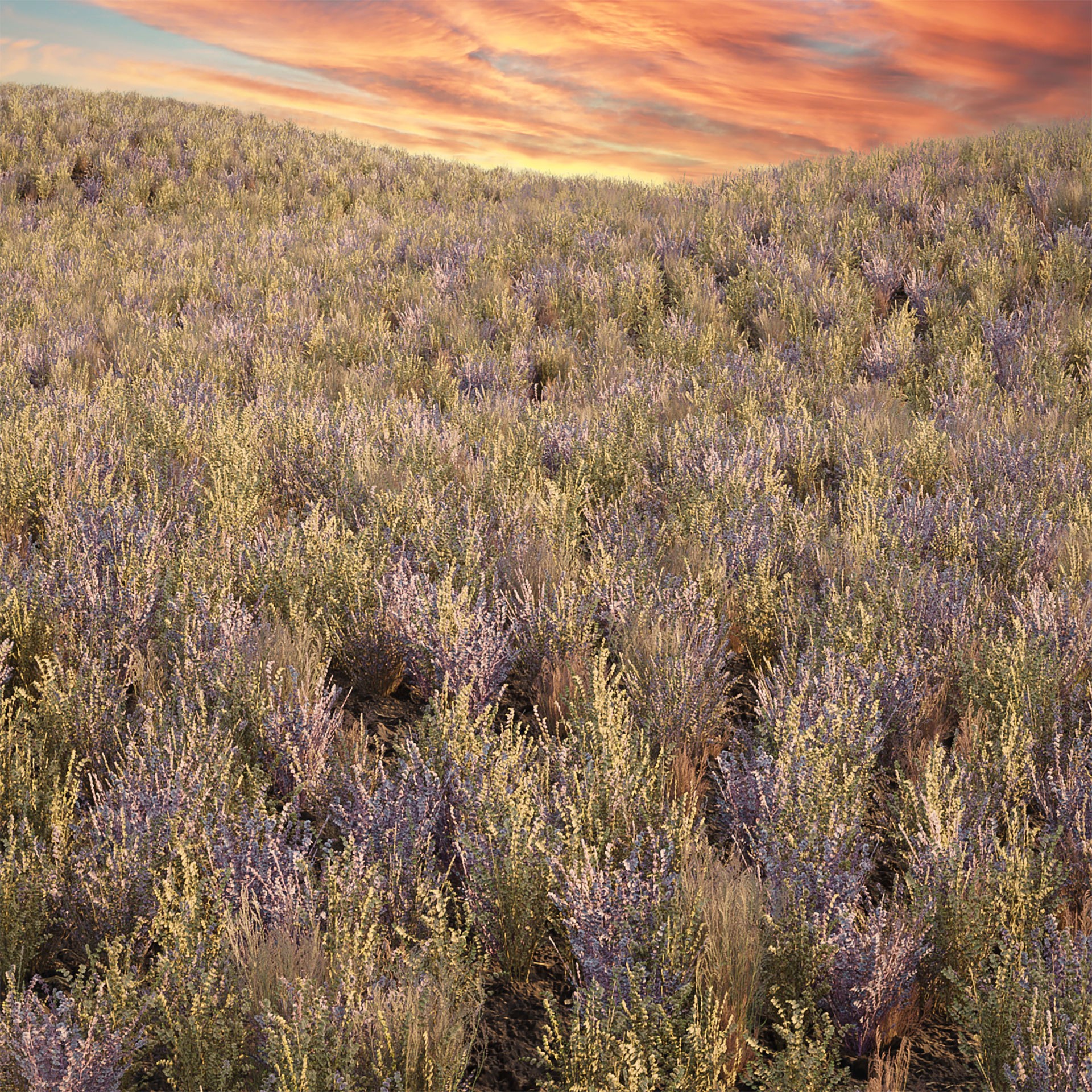 Low Poly Wild Grass Pack - Low-Poly Game-Ready 3D Model - View 11