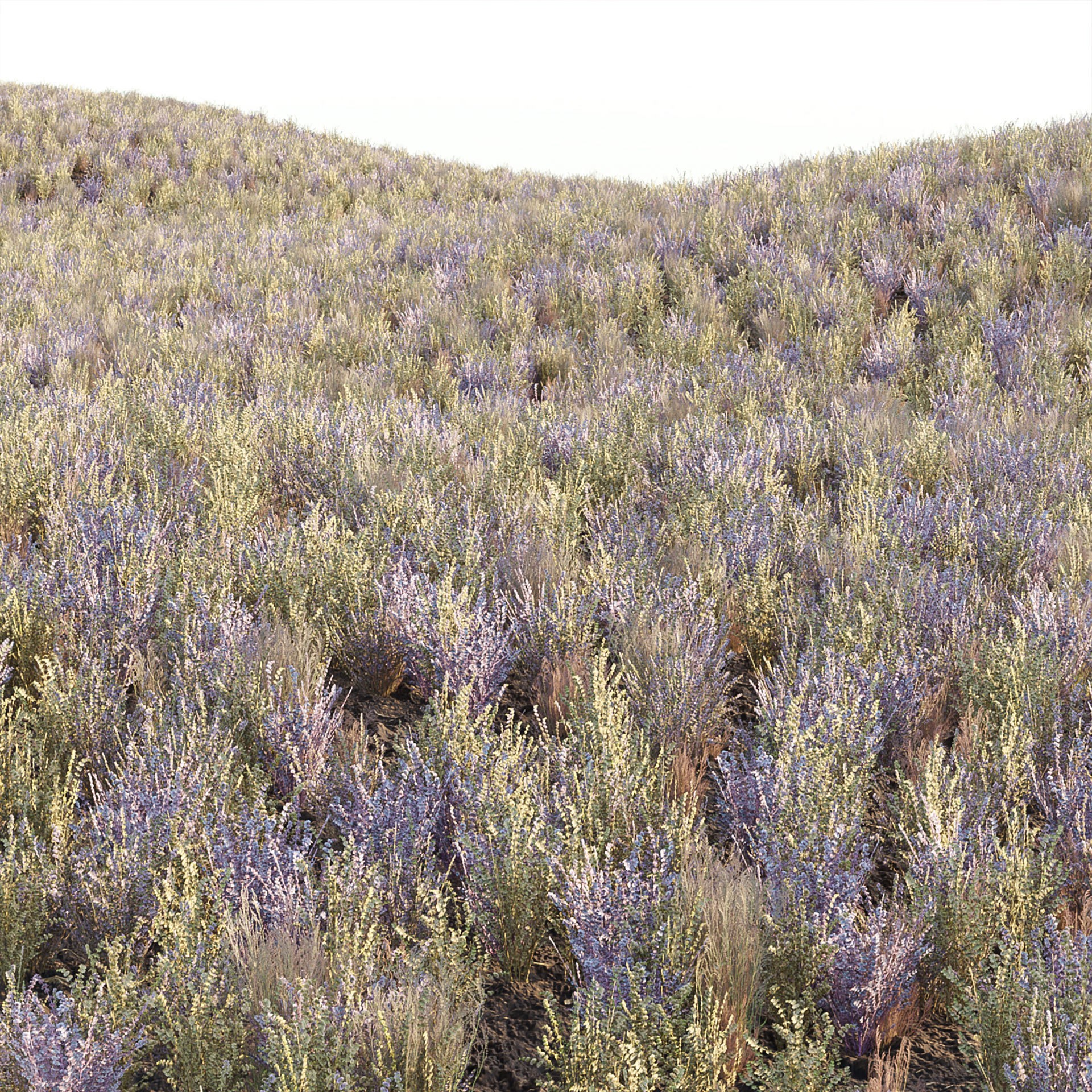 Low Poly Wild Grass Pack - Low-Poly Game-Ready 3D Model - View 12