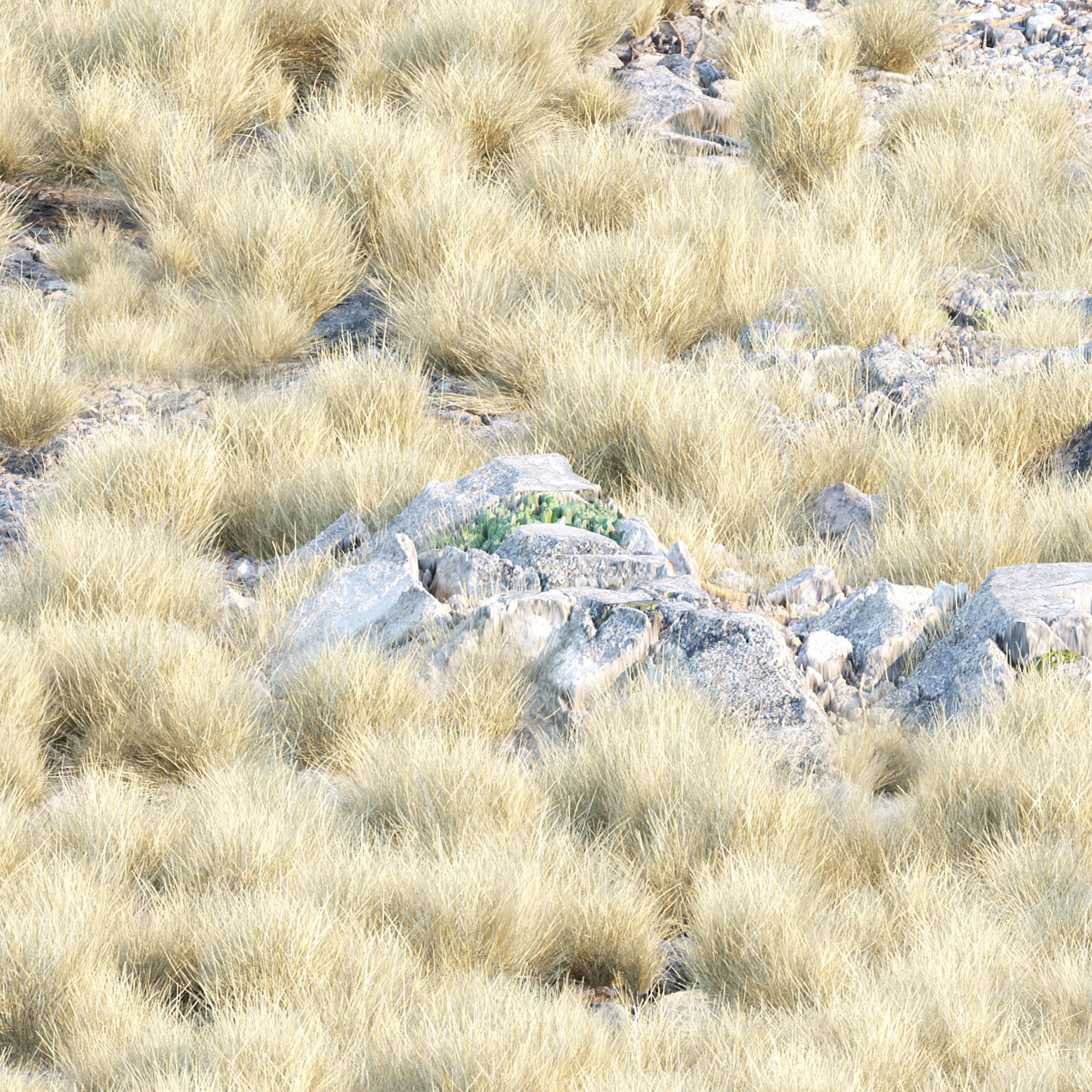 Low Poly Wild Grass Pack - Low-Poly Game-Ready 3D Model - View 14