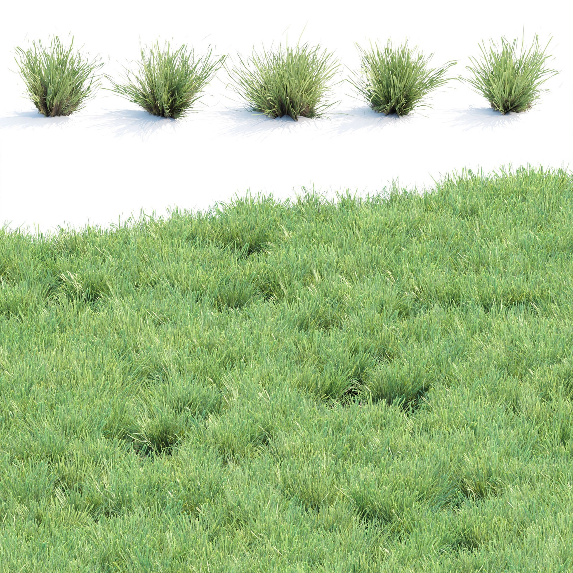 Low Poly Wild Grass Pack - Low-Poly Game-Ready 3D Model - View 17