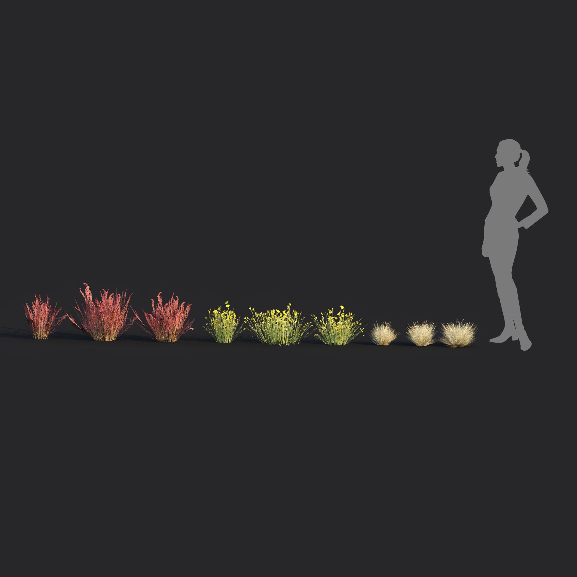 Low Poly Wild Grass Pack - Low-Poly Game-Ready 3D Model - View 19