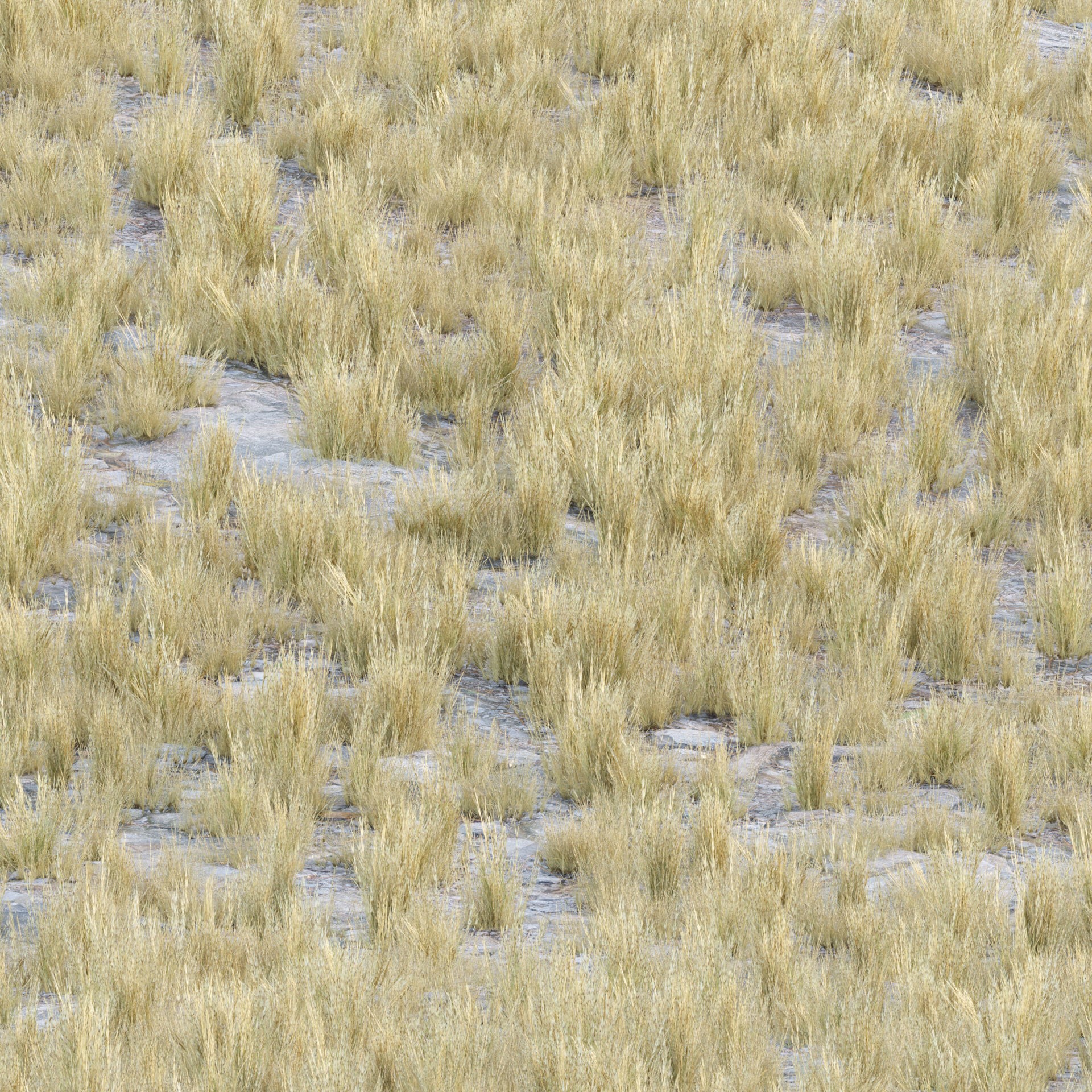 Low Poly Wild Grass Pack - Low-Poly Game-Ready 3D Model - View 21