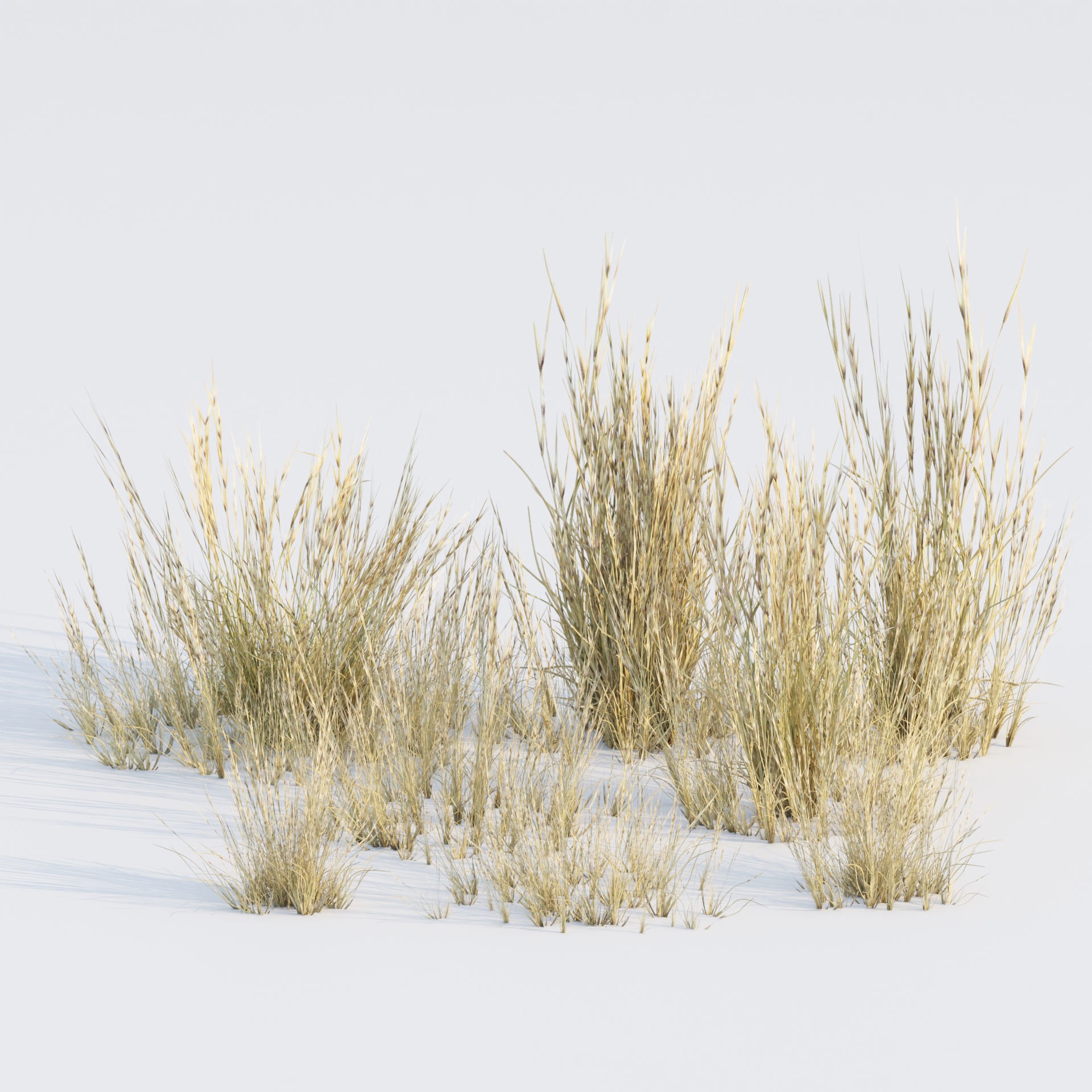 Low Poly Wild Grass Pack - Low-Poly Game-Ready 3D Model - View 22
