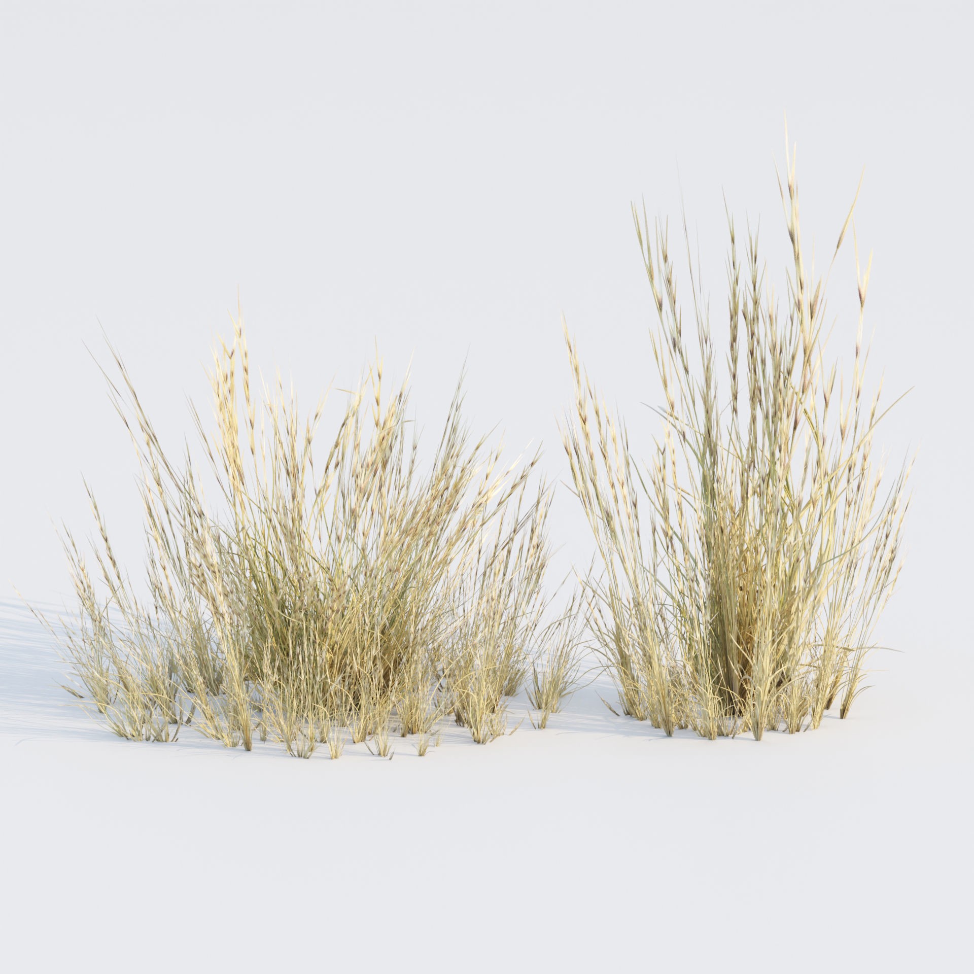 Low Poly Wild Grass Pack - Low-Poly Game-Ready 3D Model - View 23