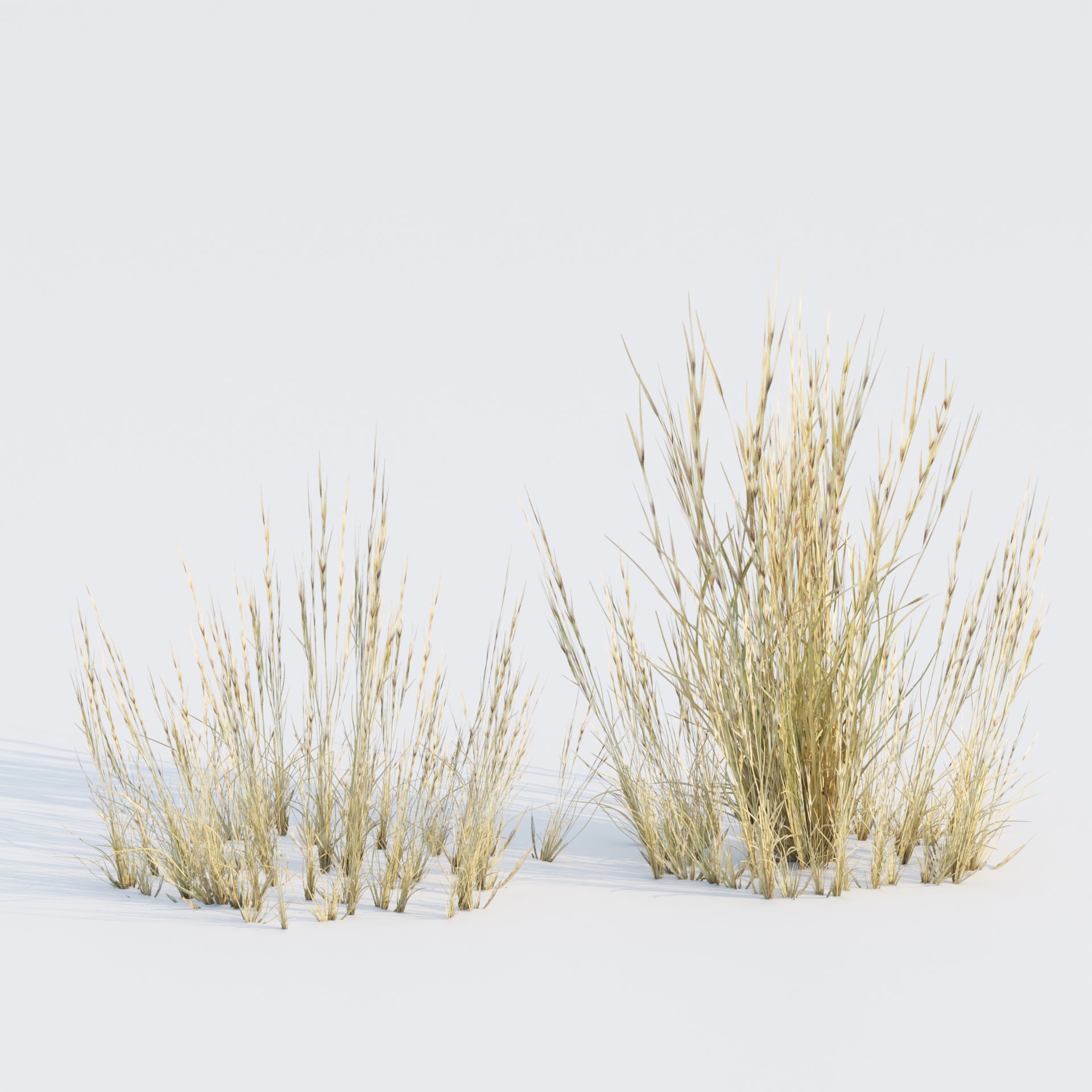 Low Poly Wild Grass Pack - Low-Poly Game-Ready 3D Model - View 24