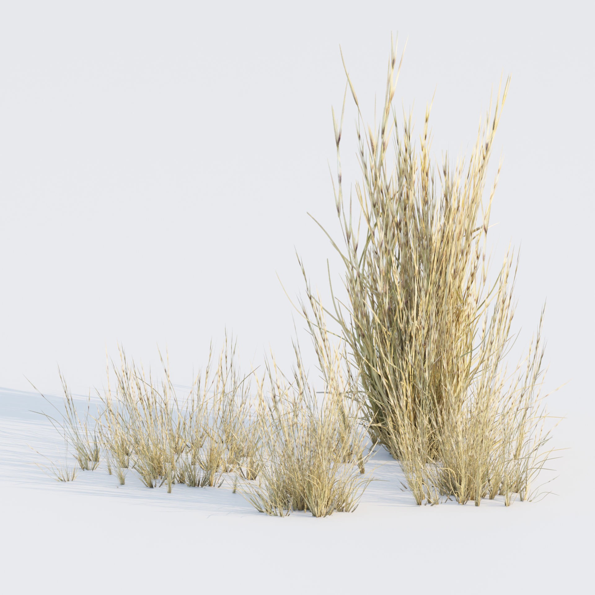 Low Poly Wild Grass Pack - Low-Poly Game-Ready 3D Model - View 25