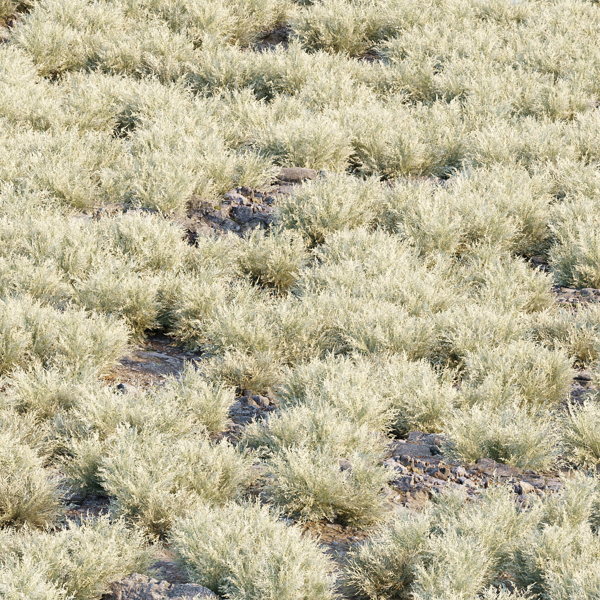 Low Poly Wild Grass Pack - Low-Poly Game-Ready 3D Model - View 7