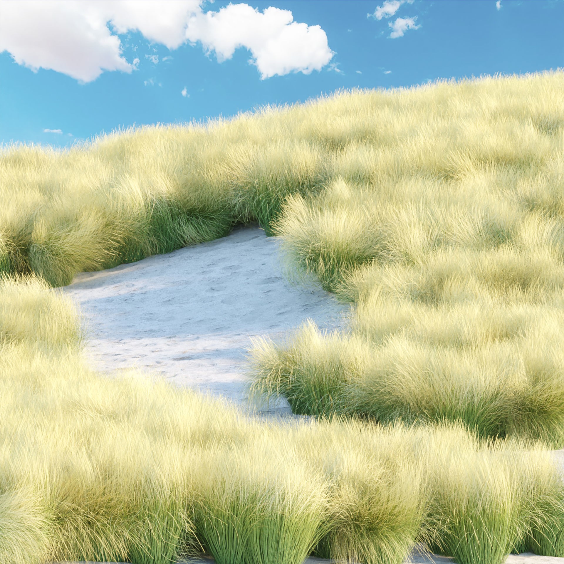 Low Poly Wild Grass Pack - Low-Poly Game-Ready 3D Model - View 8