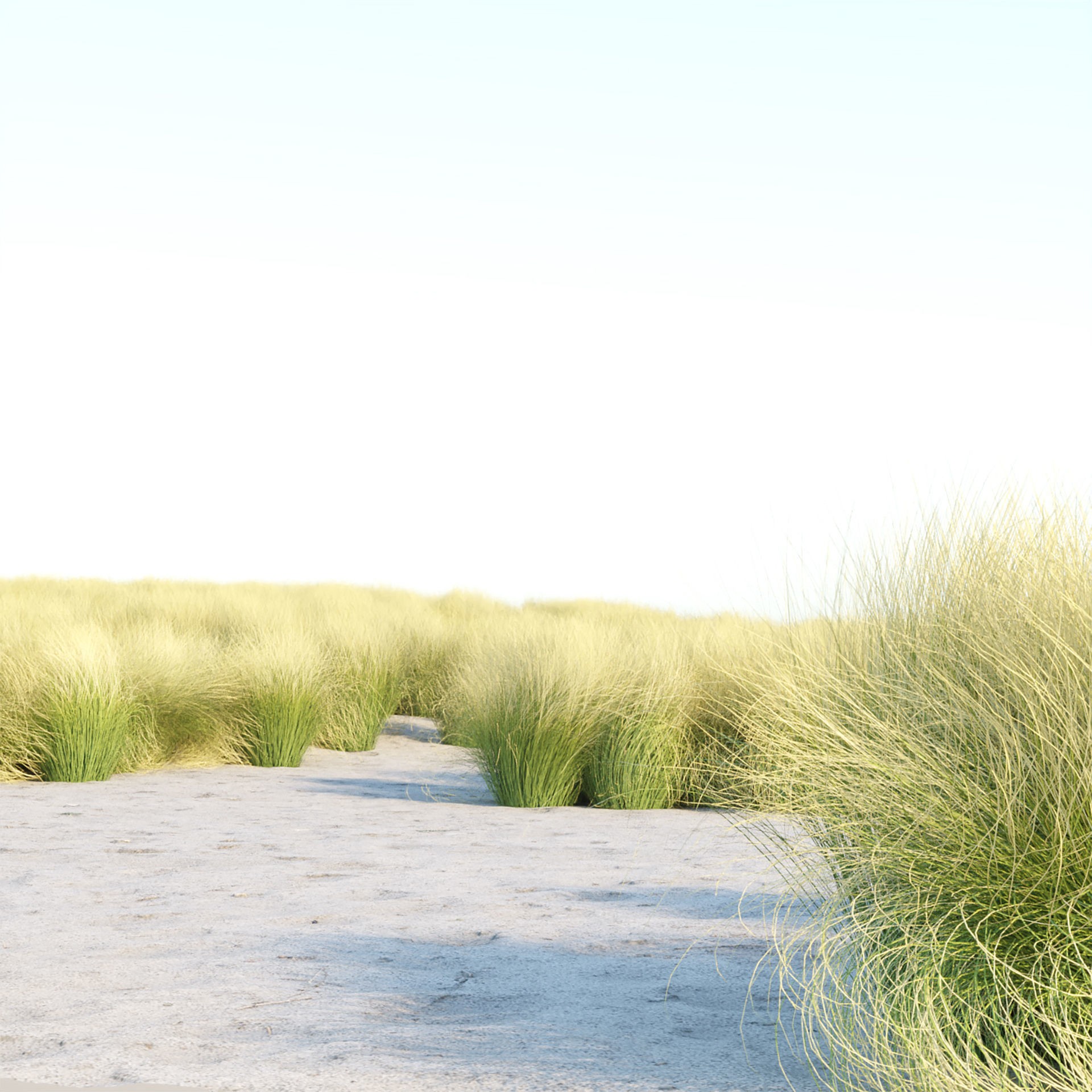 Low Poly Wild Grass Pack - Low-Poly Game-Ready 3D Model - View 9