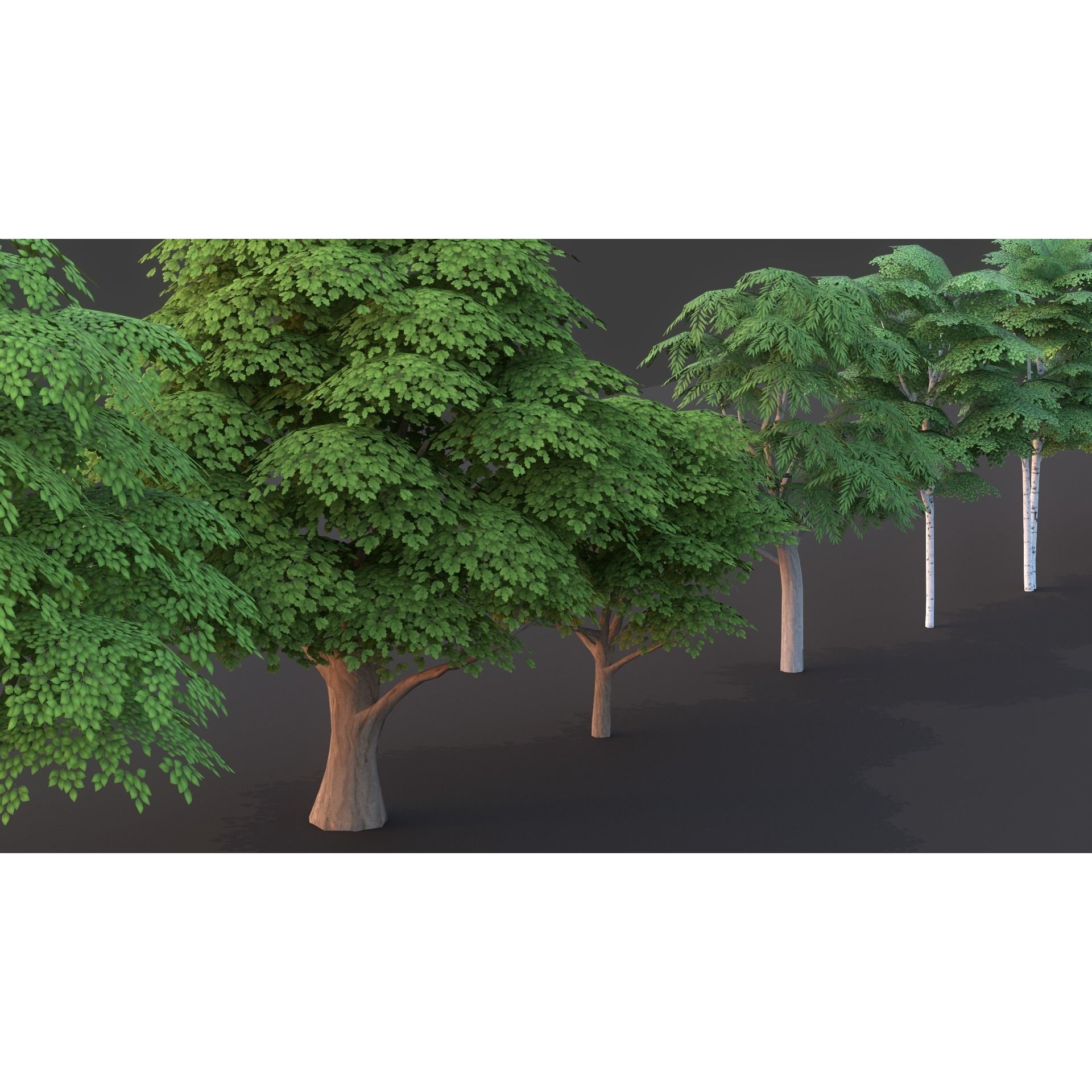 Tree Pack - Low-Poly Game-Ready 3D Model - View 10