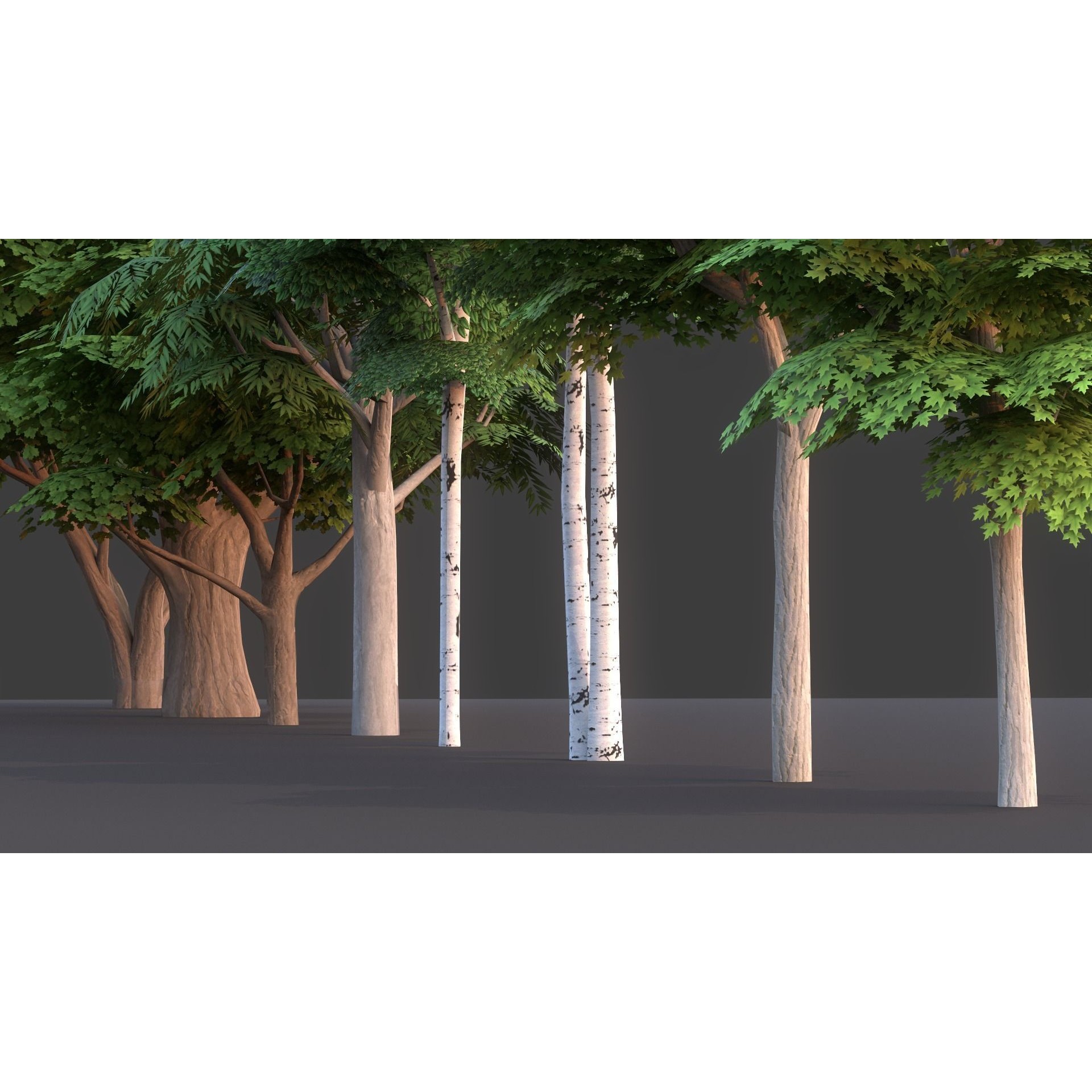 Tree Pack - Low-Poly Game-Ready 3D Model - View 11