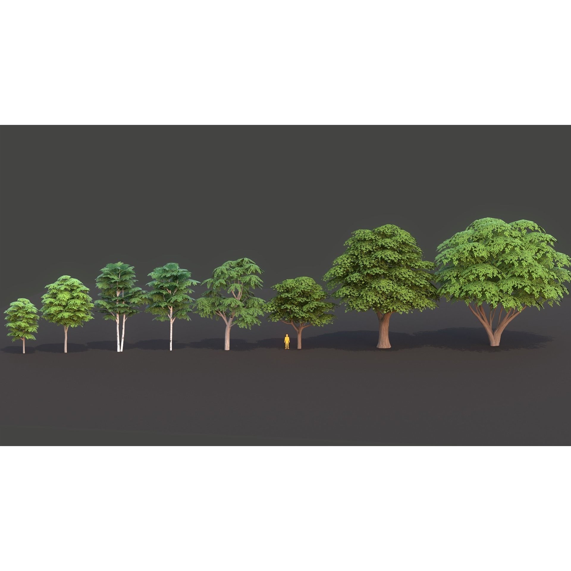 Tree Pack - Low-Poly Game-Ready 3D Model - View 13