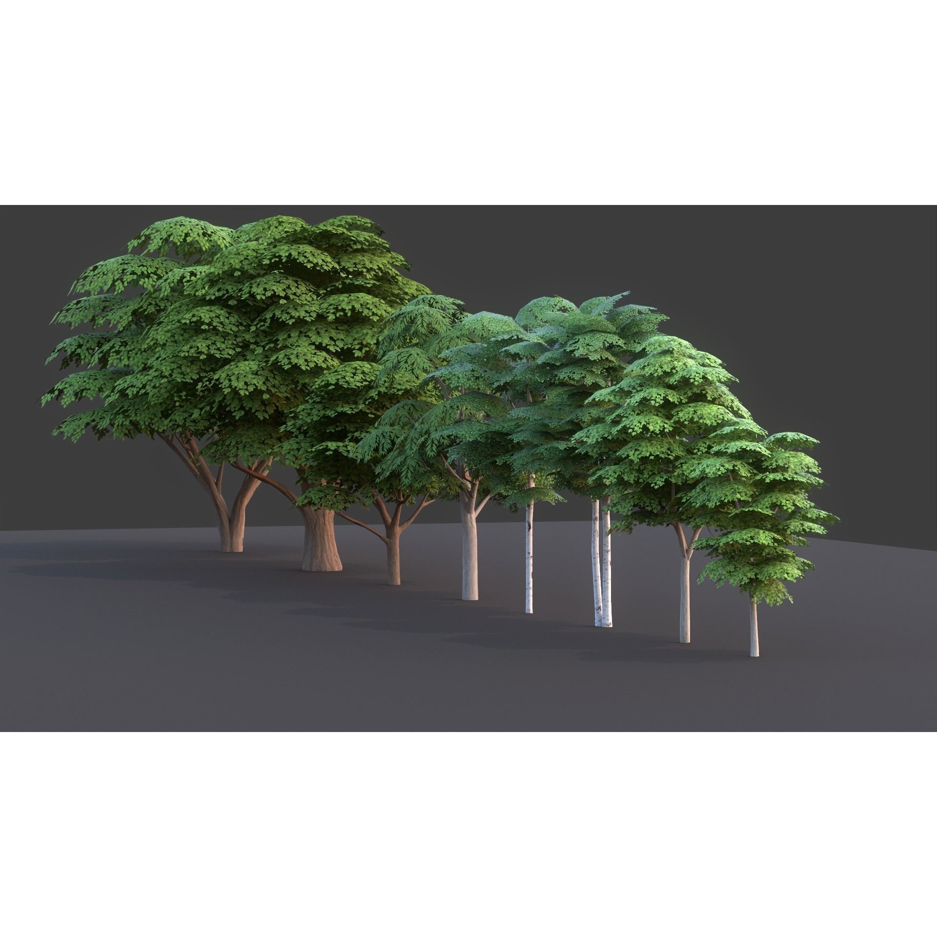 Tree Pack - Low-Poly Game-Ready 3D Model - View 14
