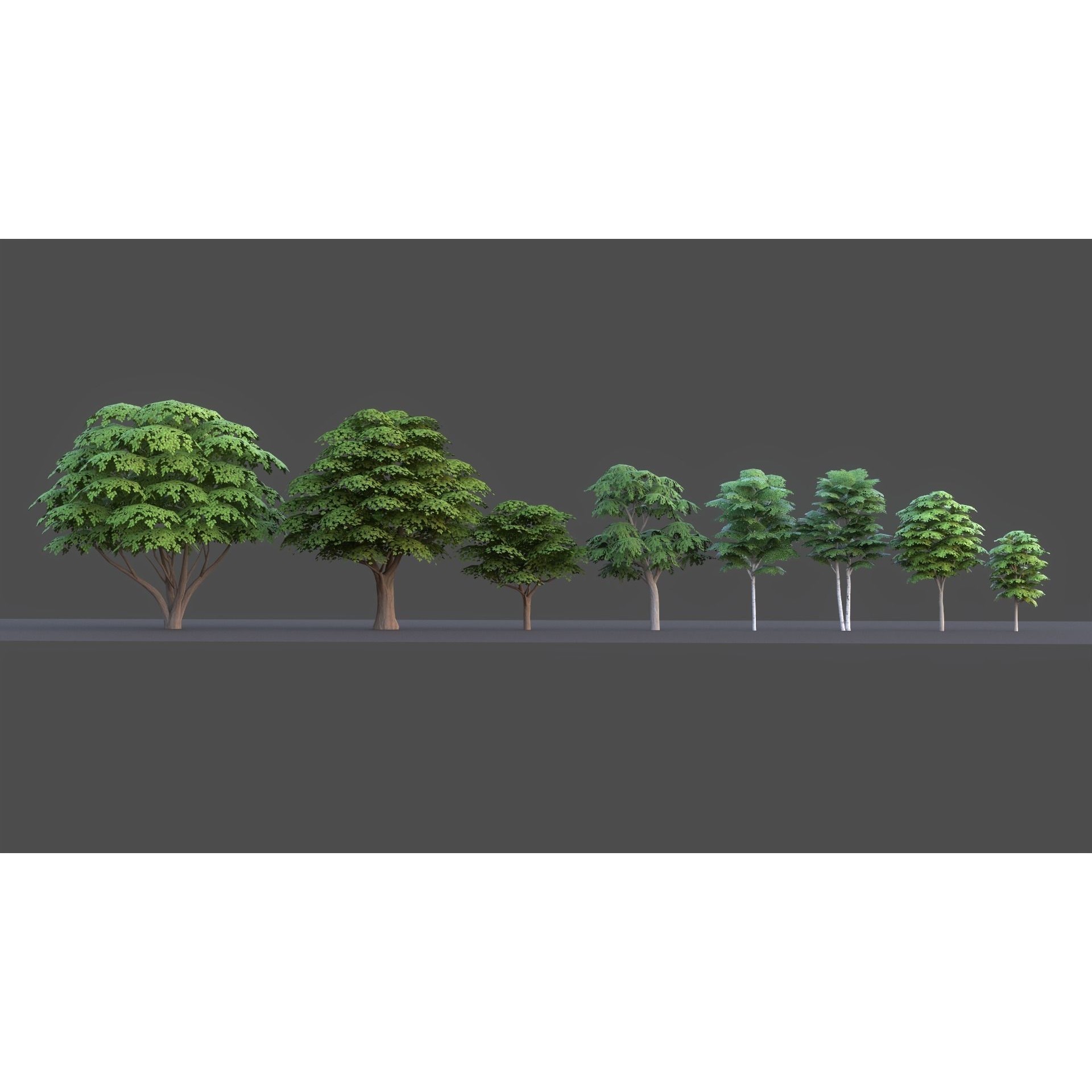 Tree Pack - Low-Poly Game-Ready 3D Model - View 15