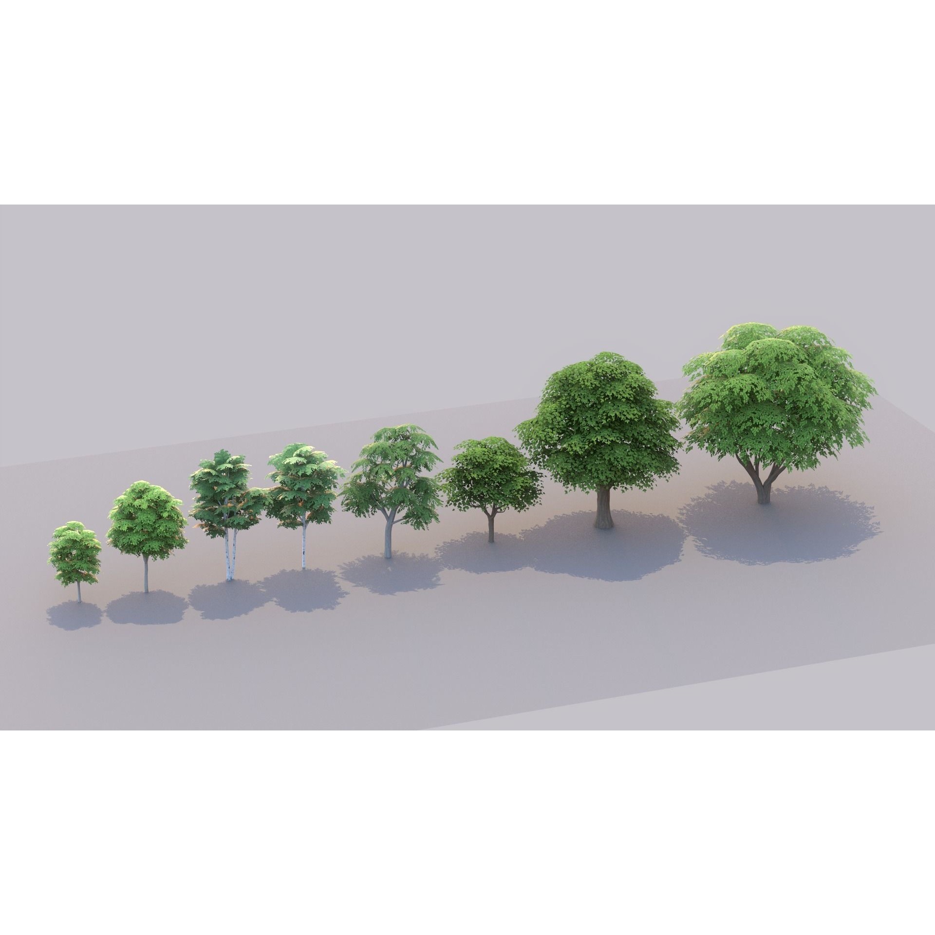 Tree Pack - Low-Poly Game-Ready 3D Model - View 16