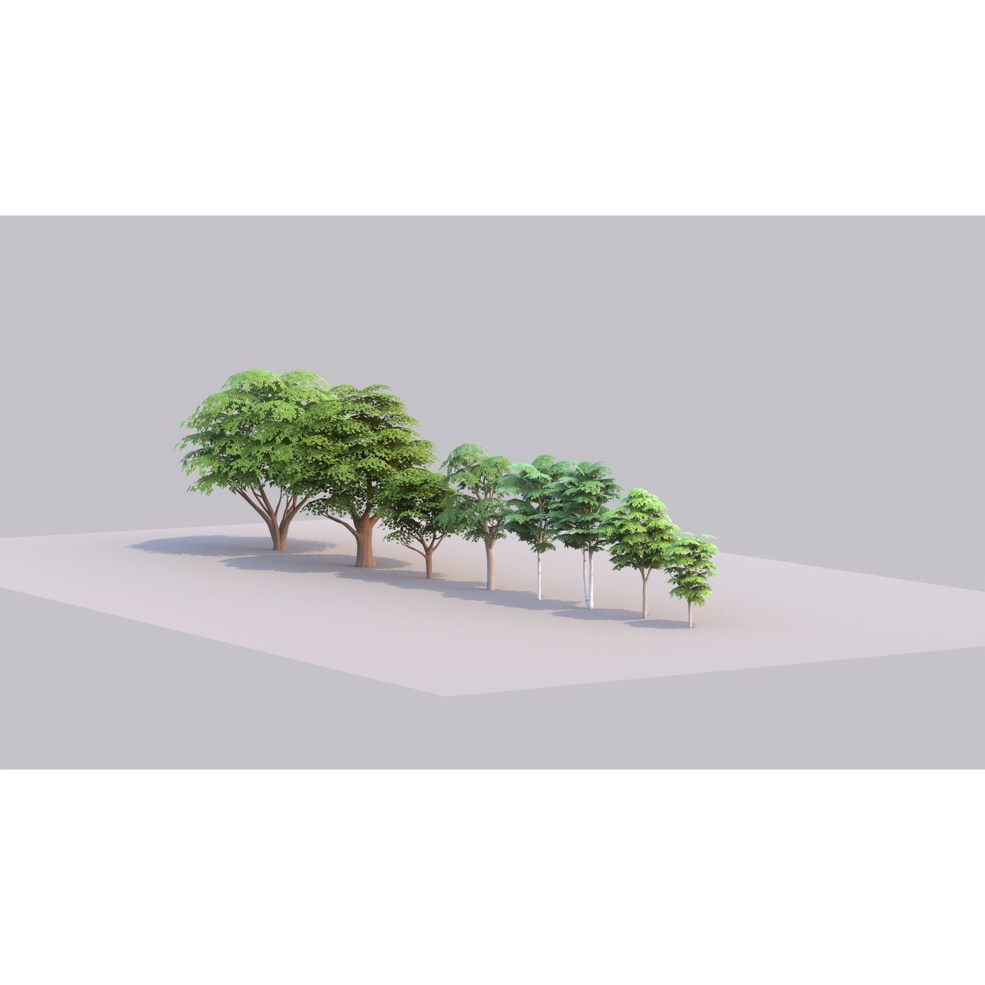 Tree Pack - Low-Poly Game-Ready 3D Model - View 17