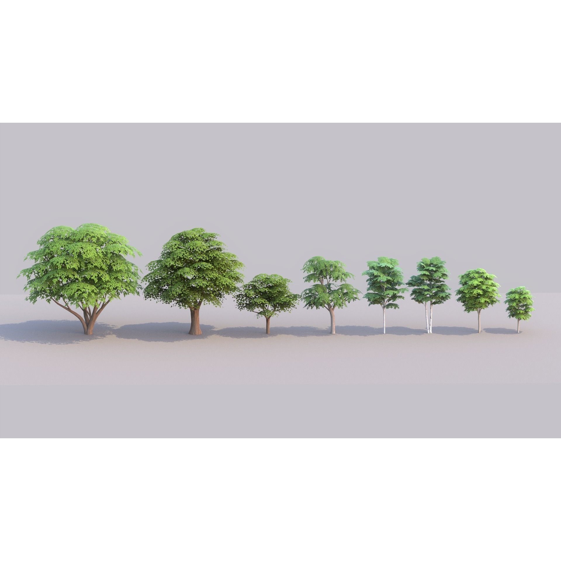 Tree Pack - Low-Poly Game-Ready 3D Model - View 18