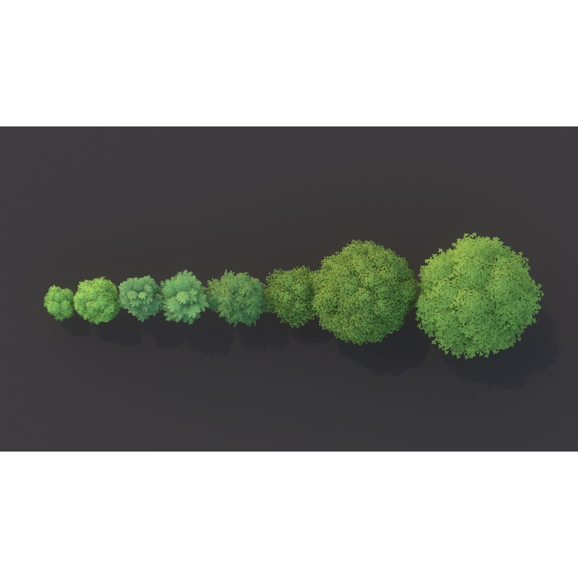 Tree Pack - Low-Poly Game-Ready 3D Model - View 9
