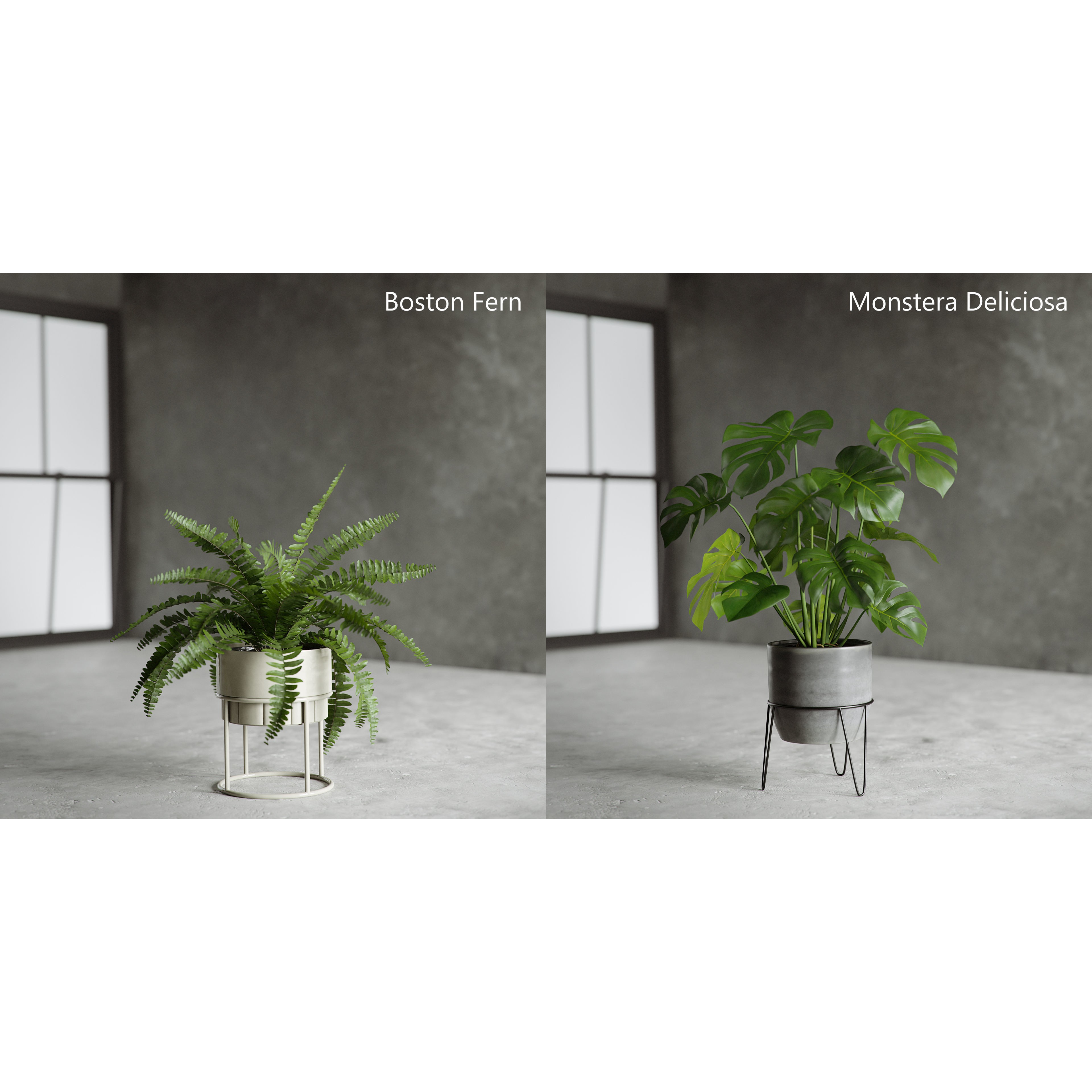 Plants Collection for Archviz 02 - Game-Ready 3D Model - View 10