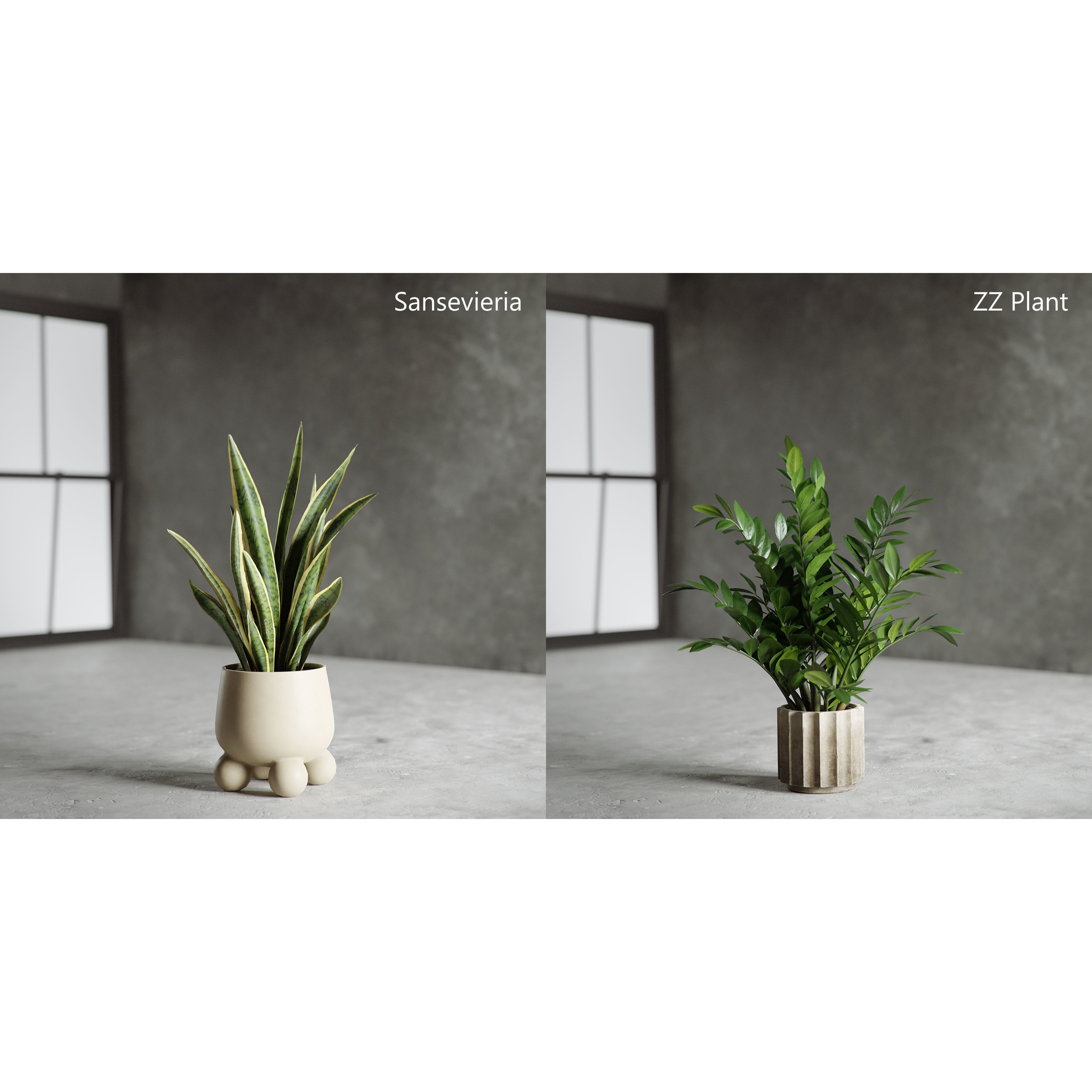 Plants Collection for Archviz 02 - Game-Ready 3D Model - View 12