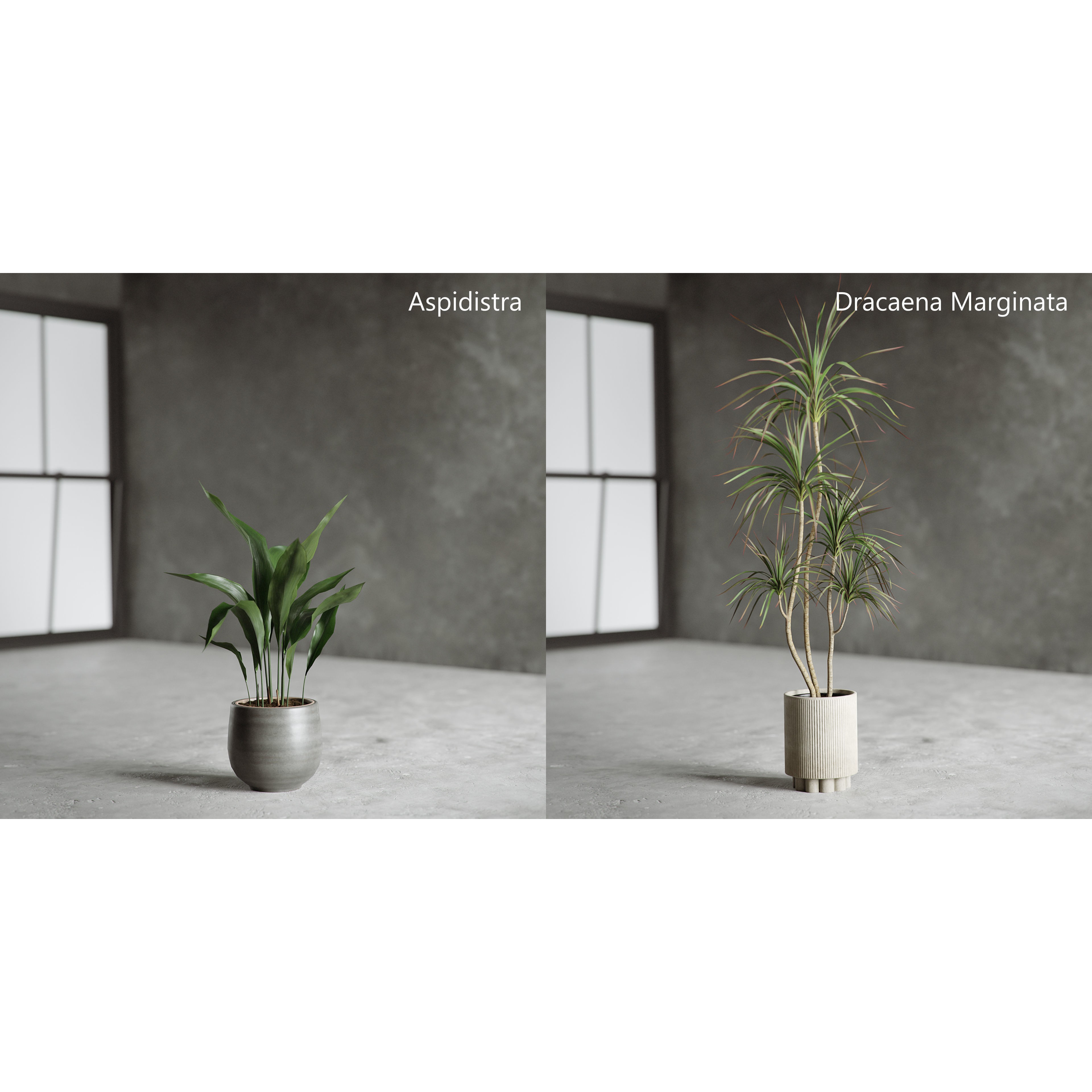 Plants Collection for Archviz 02 - Game-Ready 3D Model - View 13