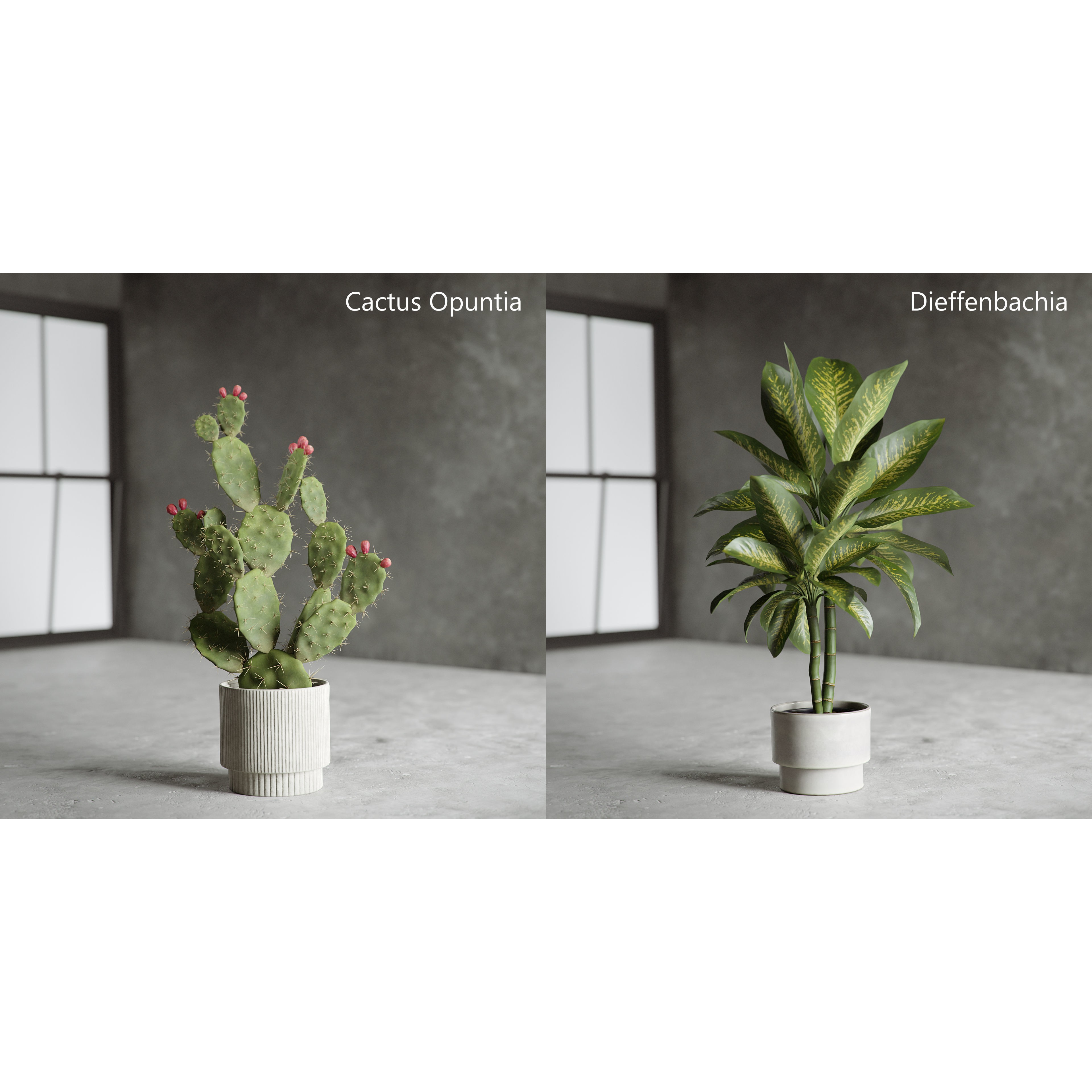 Plants Collection for Archviz 02 - Game-Ready 3D Model - View 15