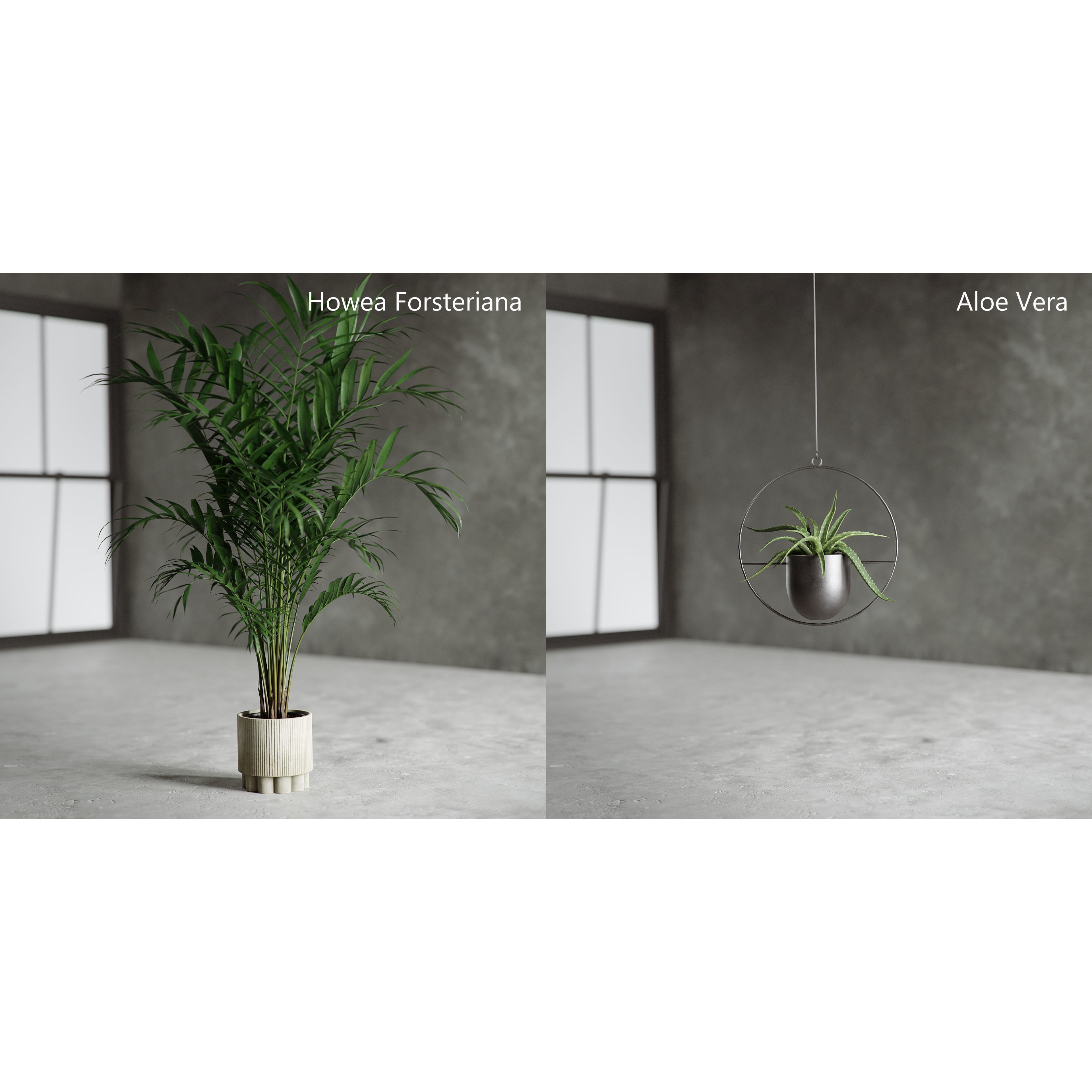 Plants Collection for Archviz 02 - Game-Ready 3D Model - View 16