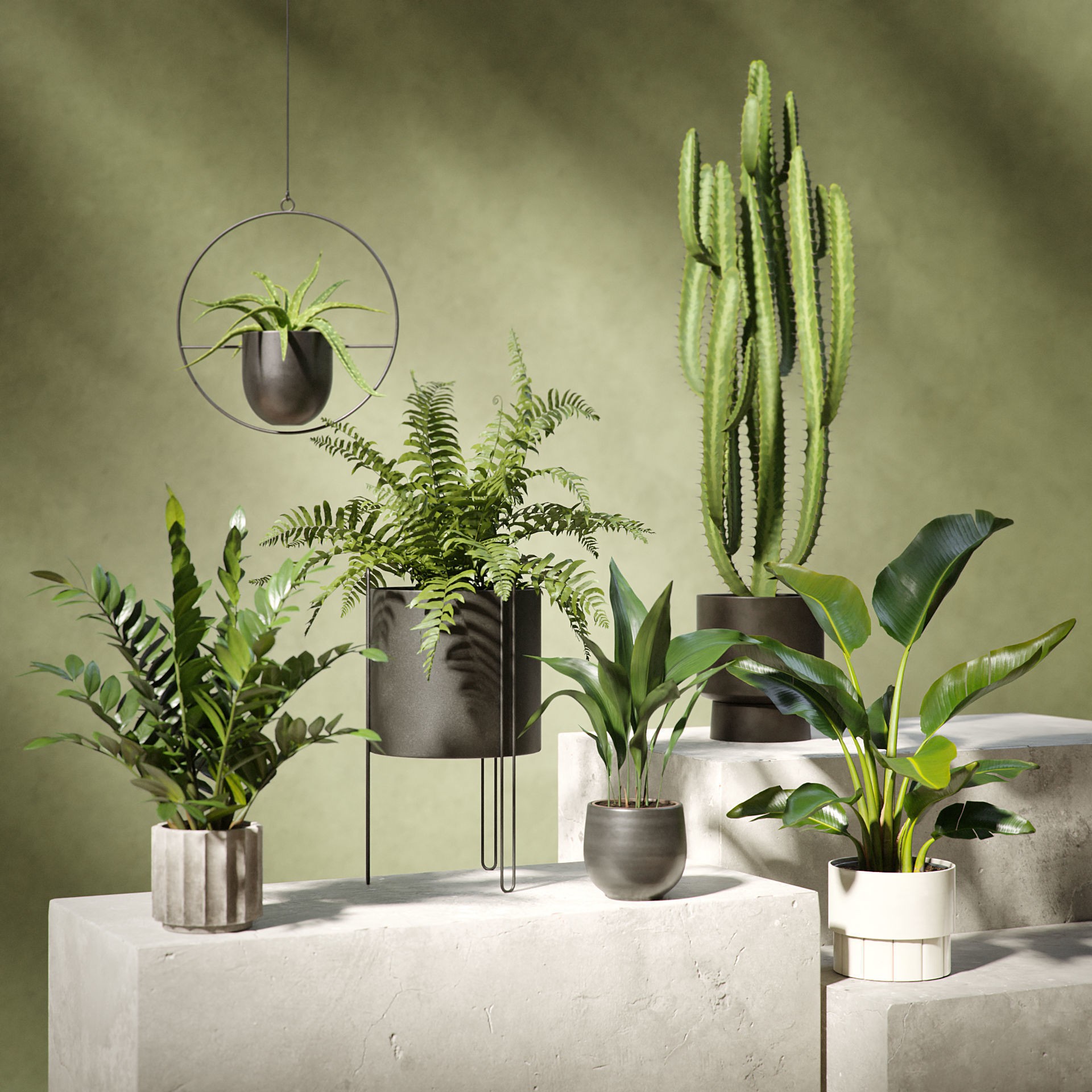 Plants Collection for Archviz 02 - Game-Ready 3D Model - View 18
