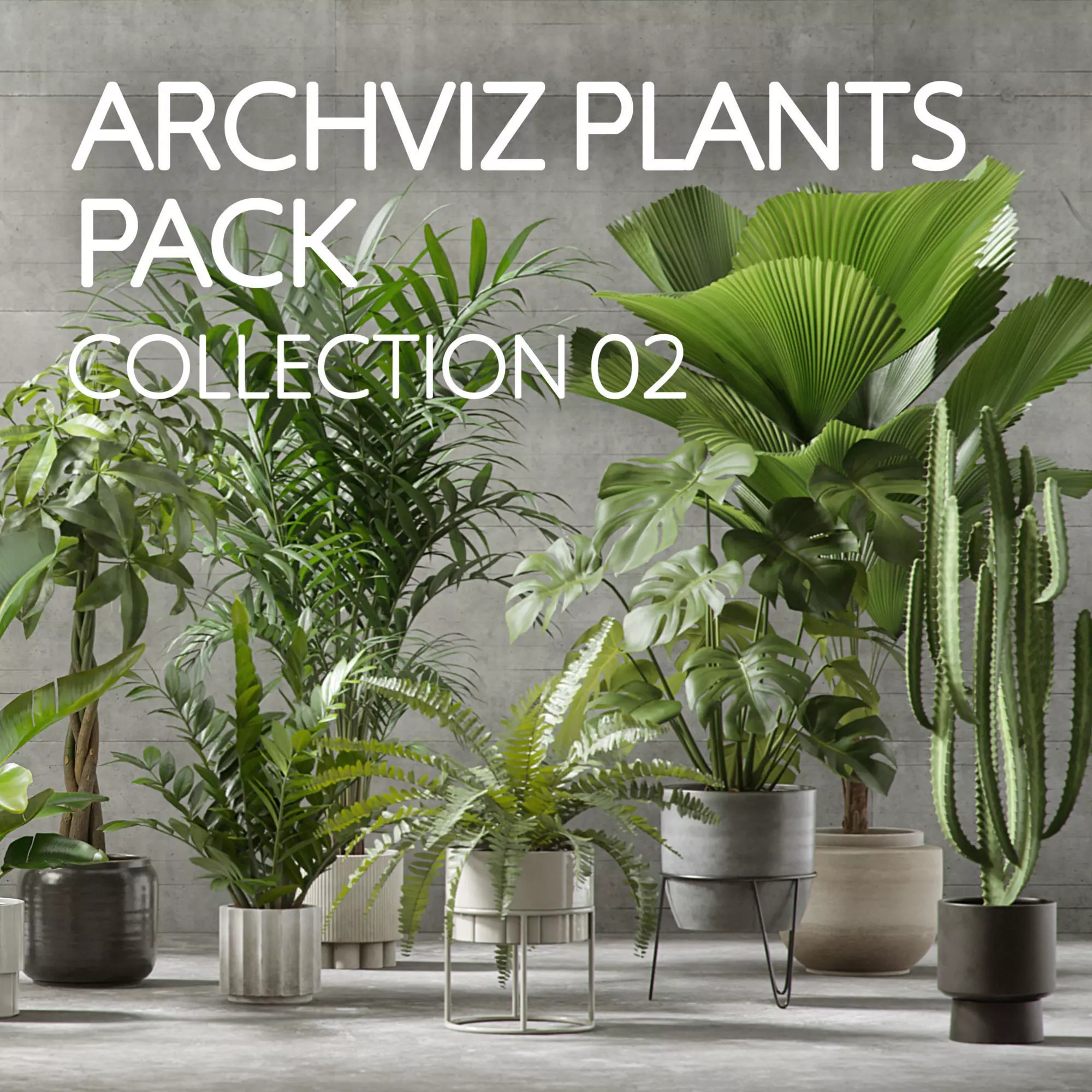 Plants Collection for Archviz 02 - Game-Ready 3D Model - View 2