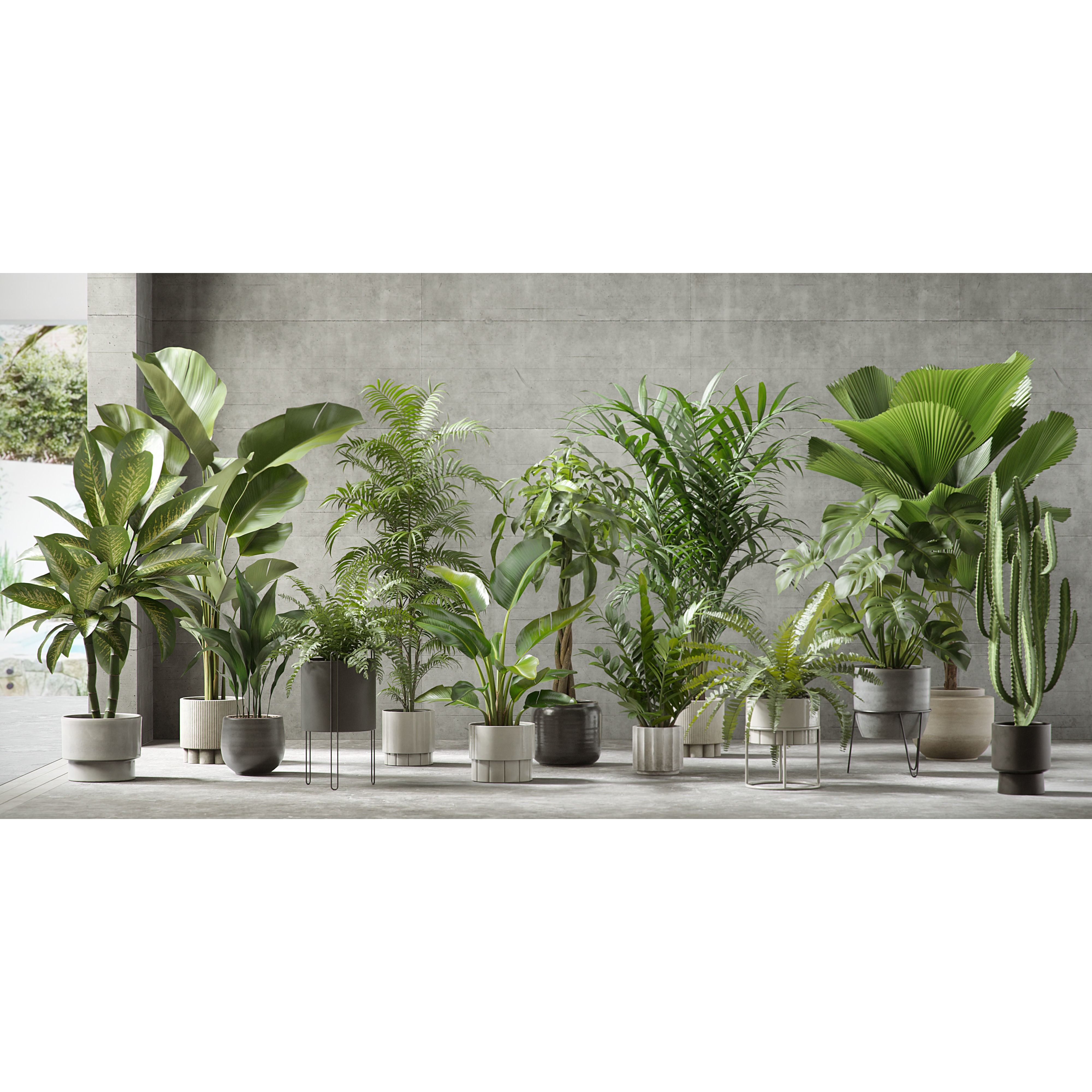 Plants Collection for Archviz 02 - Game-Ready 3D Model - View 3